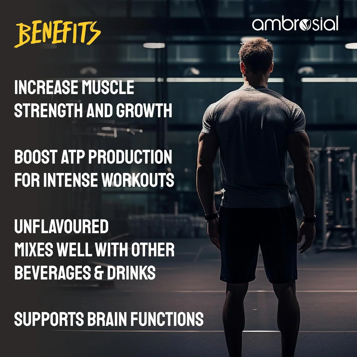 کراتین مونوهیدرات آمبروسیال 450 گرم | تقویت کننده خالص قدرت عضلانی | افزایش طبیعی قدرت و استقامت | مکمل کراتین برای تناسب اندام و بدنسازی | غیر GMO و بدون گلوتن | 90 سروینگ کراتین مونوهیدرات آمبروسیال 450 گرم | تقویت کننده خالص قدرت عضلانی | افزایش طبیعی قدرت و استقامت | مکمل کراتین برای تناسب اندام و بدنسازی | غیر GMO و بدون گلوتن | 90 سروینگ