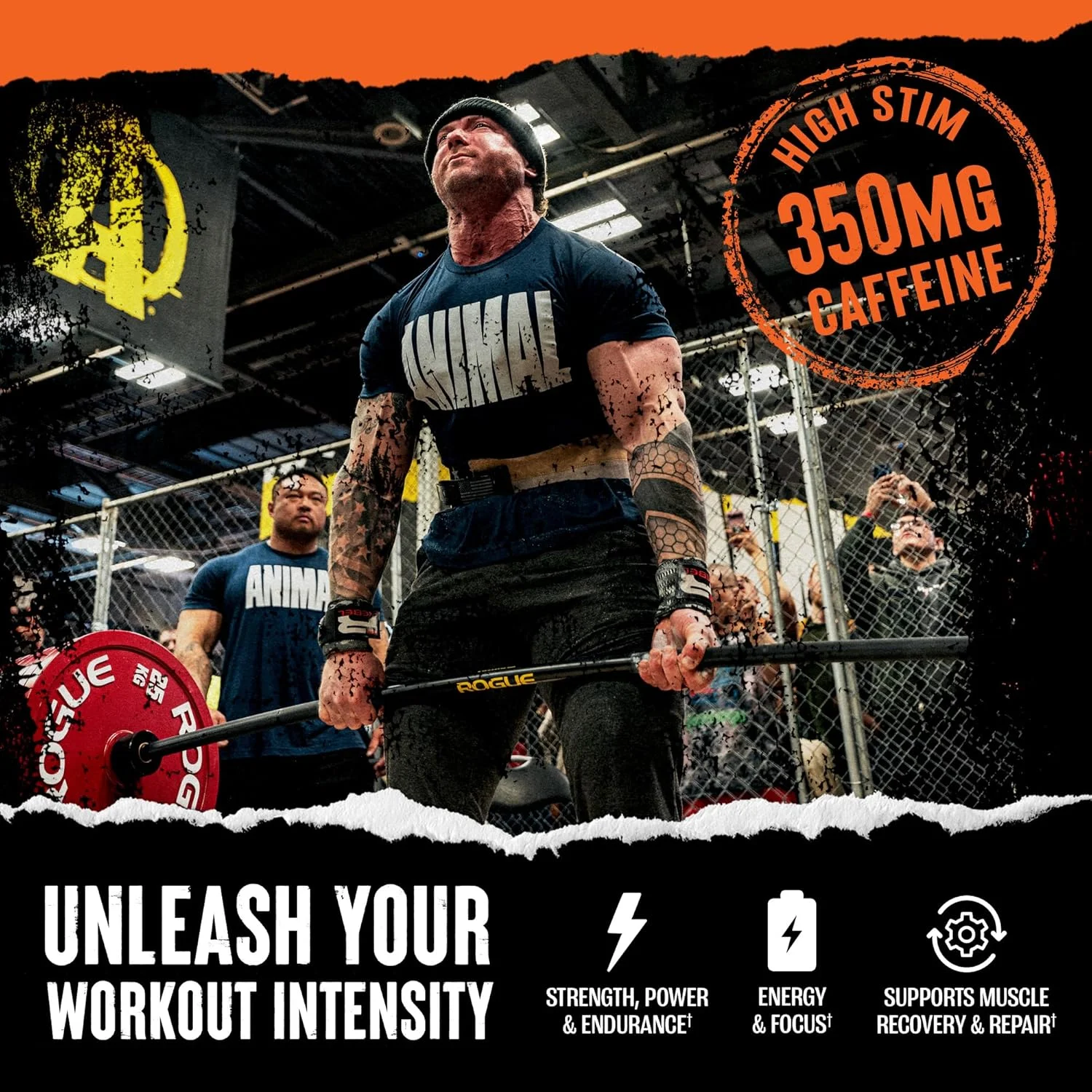 مکمل پودری قبل از تمرین Animal Fury برای انرژی و تمرکز - 5 گرم BCAA، 350 میلی گرم کافئین نیتریک اکسید بدون کراتین - محرک قوی برای بدنسازان - تمشک آبی - 30 سروینگ، 490 گرم مکمل پودری قبل از تمرین Animal Fury برای انرژی و تمرکز - 5 گرم BCAA، 350 میلی گرم کافئین نیتریک اکسید بدون کراتین - محرک قوی برای بدنسازان - تمشک آبی - 30 سروینگ، 490 گرم