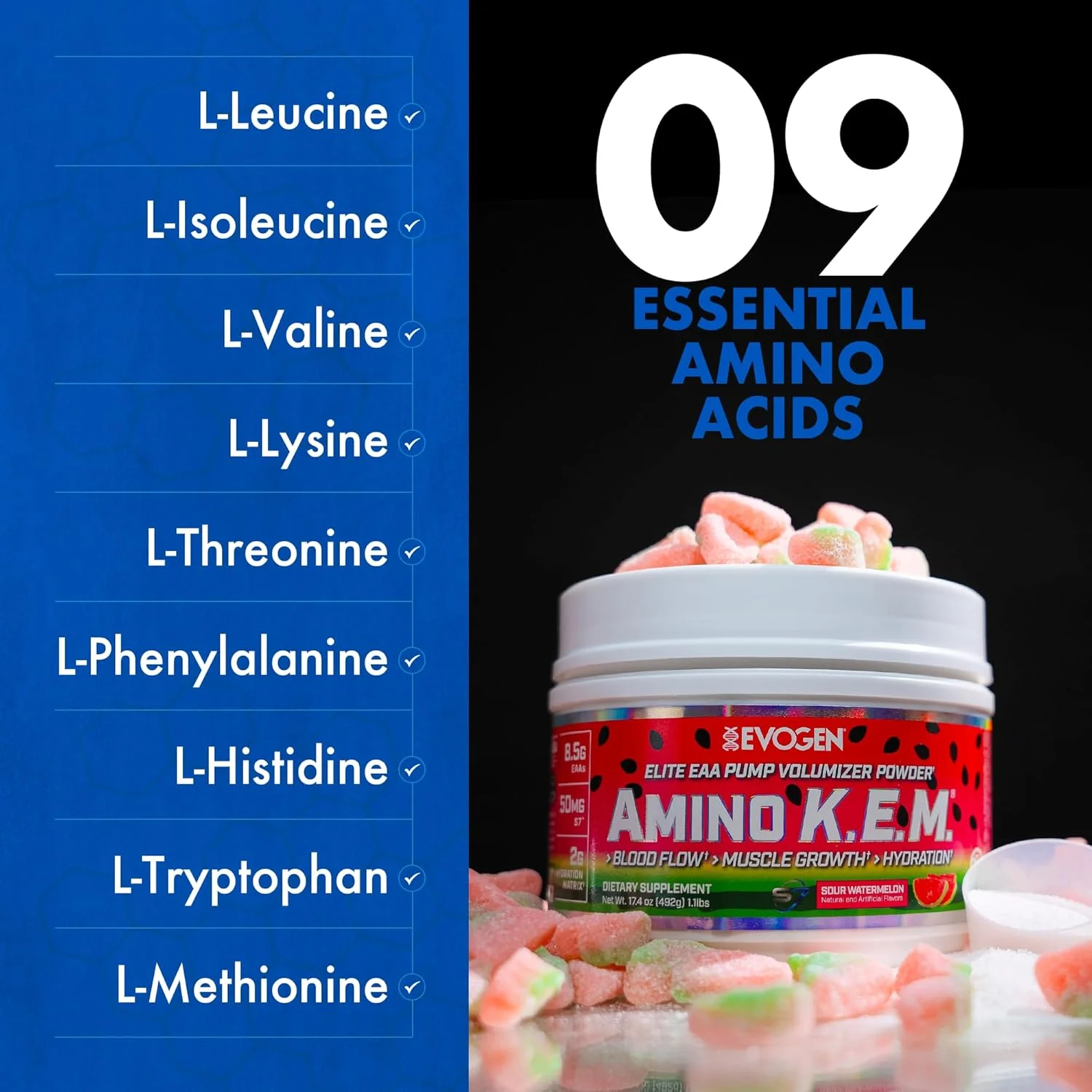 Evogen Amino KEM | اسید آمینه ضروری ممتاز، EAA و BCAA، اکسید نیتریک، بتائین بی آب، S7، ریکاوری، افزایش حجم، کاتالیزور پمپ | هندوانه ترش Evogen Amino KEM | اسید آمینه ضروری ممتاز، EAA و BCAA، اکسید نیتریک، بتائین بی آب، S7، ریکاوری، افزایش حجم، کاتالیزور پمپ | هندوانه ترش