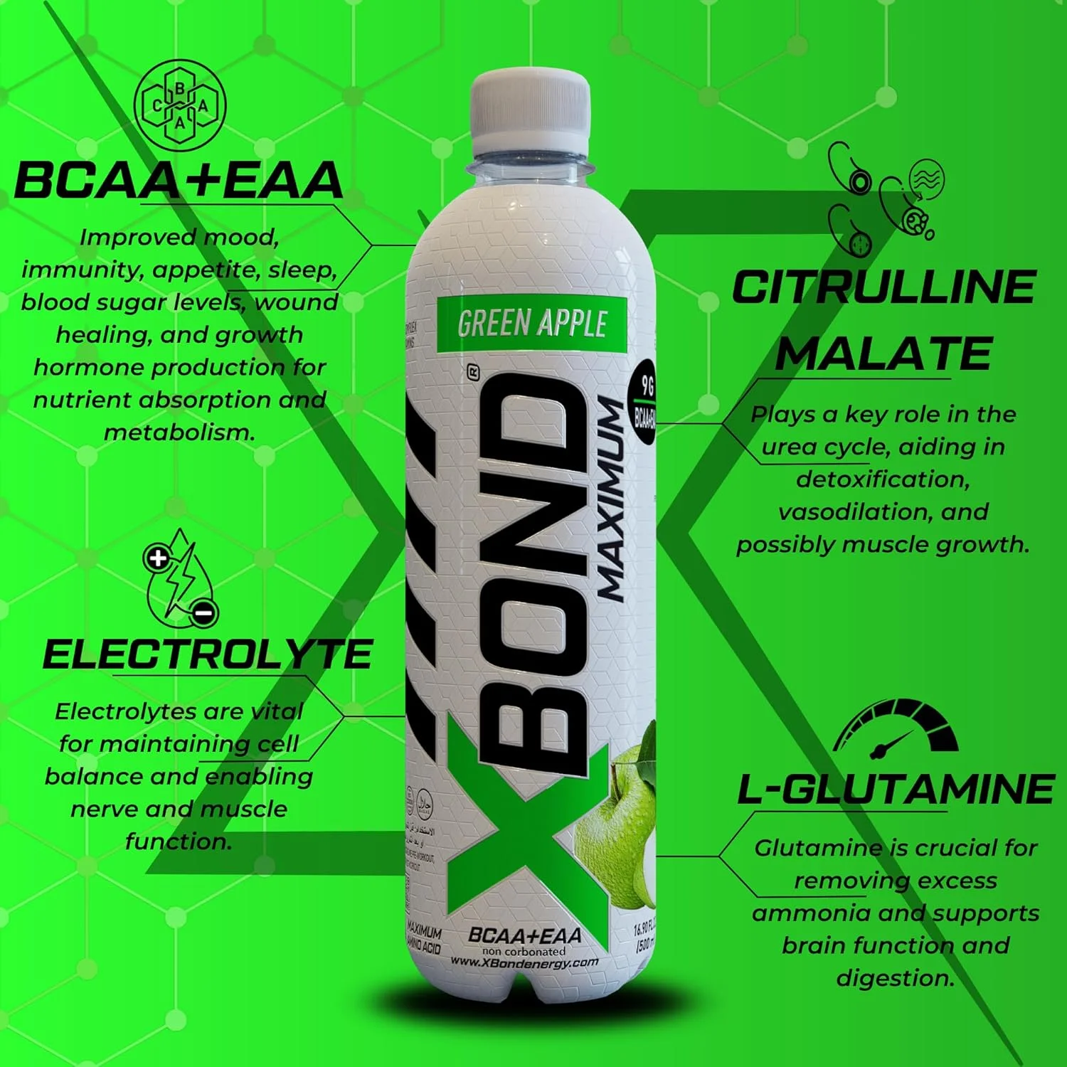 نوشیدنی غیر گازدار سیب سبز X-BOND Maximum Recovery، حداکثر نوشیدنی آمینو - 9 گرم BCAA + الکترولیت های EAA - 16 fl oz (500 ml)، بدون شکر، 34 کالری، 60 میلی گرم کافئین، بسته 12 عددی نوشیدنی غیر گازدار سیب سبز X-BOND Maximum Recovery، حداکثر نوشیدنی آمینو - 9 گرم BCAA + الکترولیت های EAA - 16 fl oz (500 ml)، بدون شکر، 34 کالری، 60 میلی گرم کافئین، بسته 12 عددی