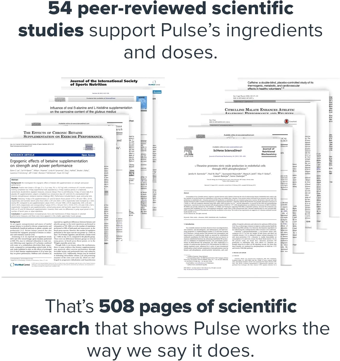 مکمل پیش از تمرین LEGION Pulse - نوشیدنی پیش از تمرین اکسید نیتریک کاملا طبیعی، بدون کراتین، شیرین شده طبیعی، بتا آلانین، سیترولین، آلفا GPC (بدون کافئین با طعم توت فرنگی کیوی) مکمل پیش از تمرین LEGION Pulse - نوشیدنی پیش از تمرین اکسید نیتریک کاملا طبیعی، بدون کراتین، شیرین شده طبیعی، بتا آلانین، سیترولین، آلفا GPC (بدون کافئین با طعم توت فرنگی کیوی)