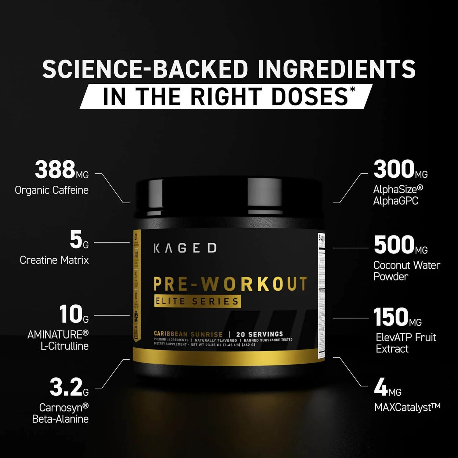پودر مکمل قبل از تمرین Kaged Pre-Workout Elite | محرک قوی برای انرژی، تمرکز، پمپ عضلانی | ال-سیترولین، بتا آلانین، کراتین و 388 میلی گرم کافئین ارگانیک | طعم لیموناد گیلاس پودر مکمل قبل از تمرین Kaged Pre-Workout Elite | محرک قوی برای انرژی، تمرکز، پمپ عضلانی | ال-سیترولین، بتا آلانین، کراتین و 388 میلی گرم کافئین ارگانیک | طعم لیموناد گیلاس