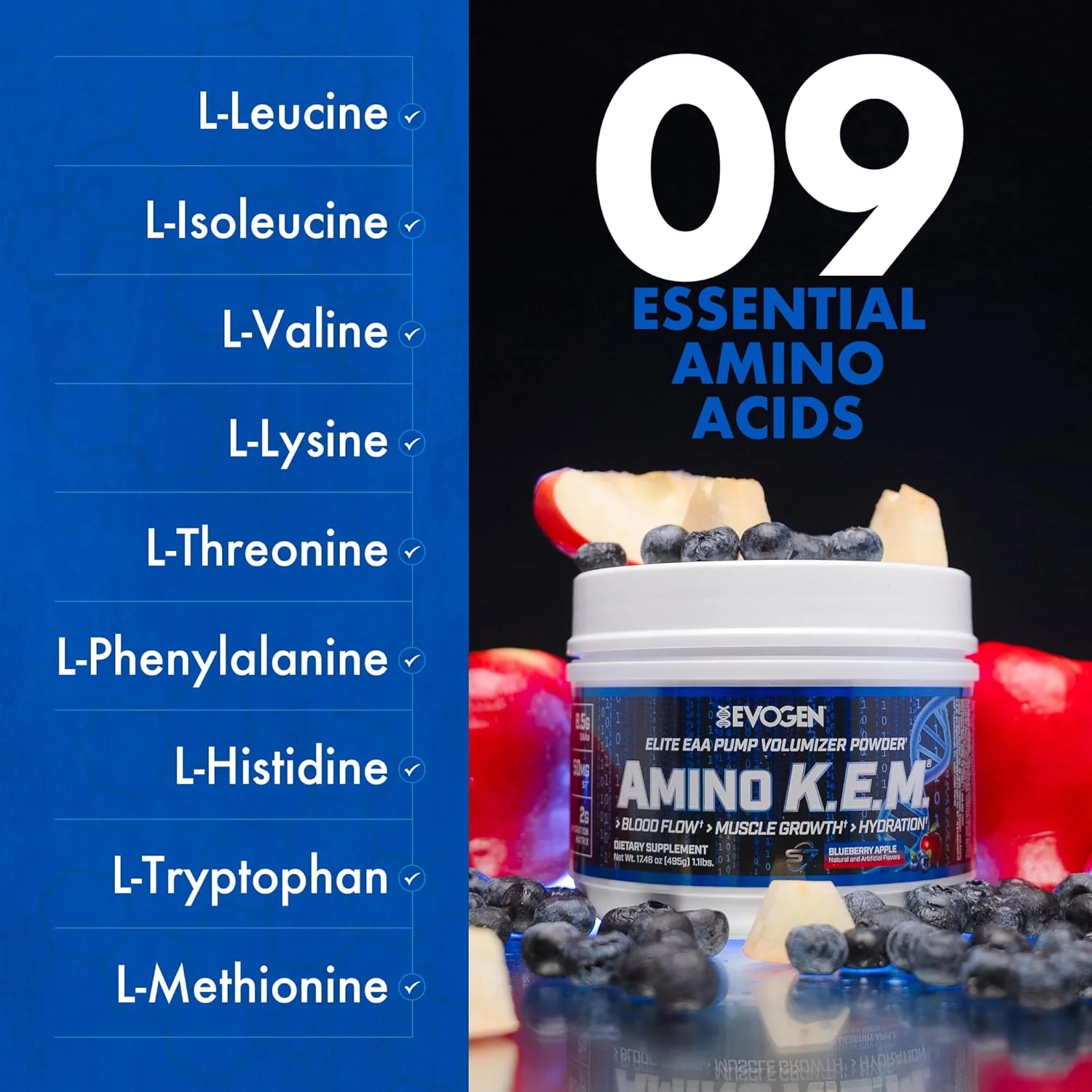 Evogen Amino KEM | آمینو اسیدهای ضروری ممتاز، EAA و BCAA، اکسید نیتریک، بتائین بدون آب، S7، ریکاوری، افزایش حجم، کاتالیزور پمپ | بلوبری سیب Evogen Amino KEM | آمینو اسیدهای ضروری ممتاز، EAA و BCAA، اکسید نیتریک، بتائین بدون آب، S7، ریکاوری، افزایش حجم، کاتالیزور پمپ | بلوبری سیب