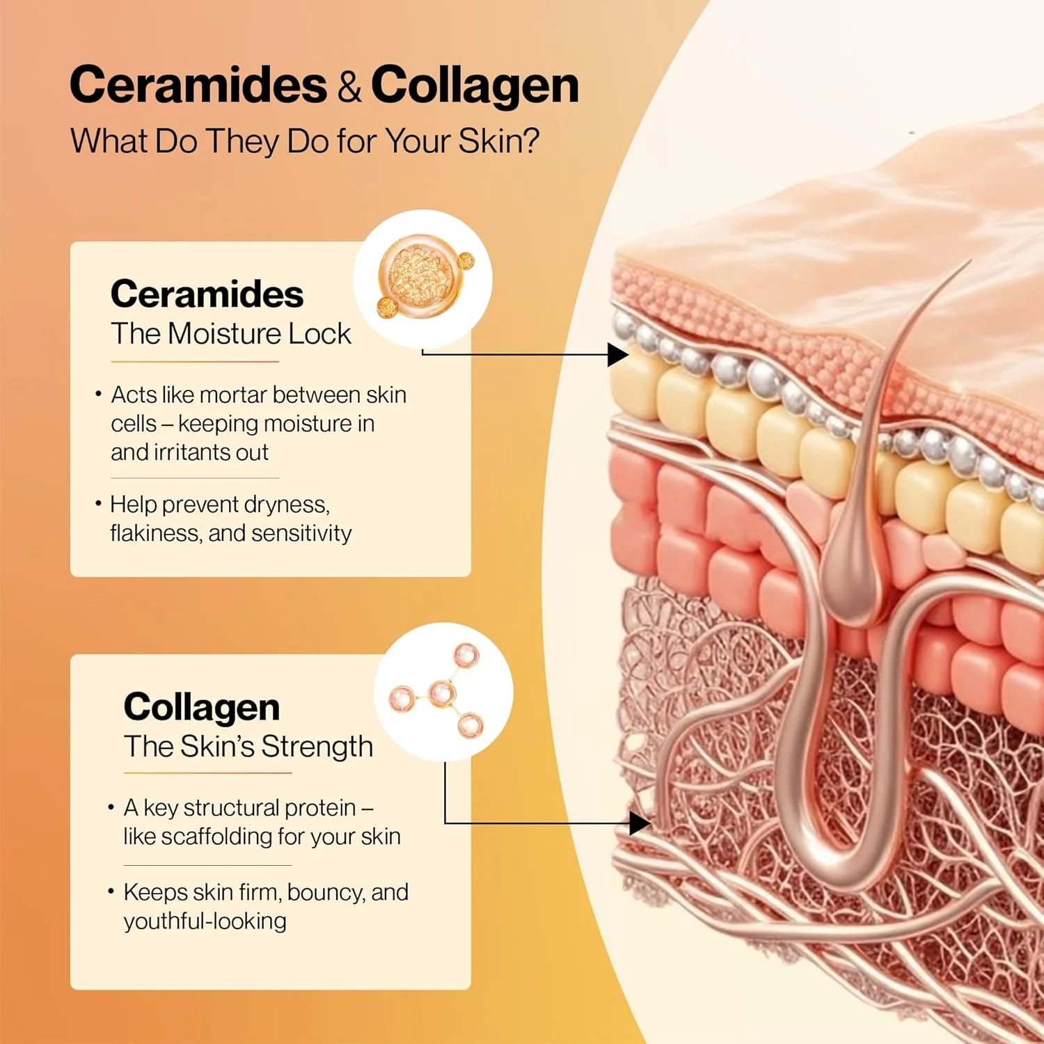 پودر کلاژن دریایی جوان کننده پوست Setu | پپتیدهای کلاژن دریایی هیدرولیز شده با N-استیل گلوکزامین، ویتامین C، روی و بیوتین | بهبود آبرسانی، خاصیت ارتجاعی و بافت پوست پودر کلاژن دریایی جوان کننده پوست Setu | پپتیدهای کلاژن دریایی هیدرولیز شده با N-استیل گلوکزامین، ویتامین C، روی و بیوتین | بهبود آبرسانی، خاصیت ارتجاعی و بافت پوست