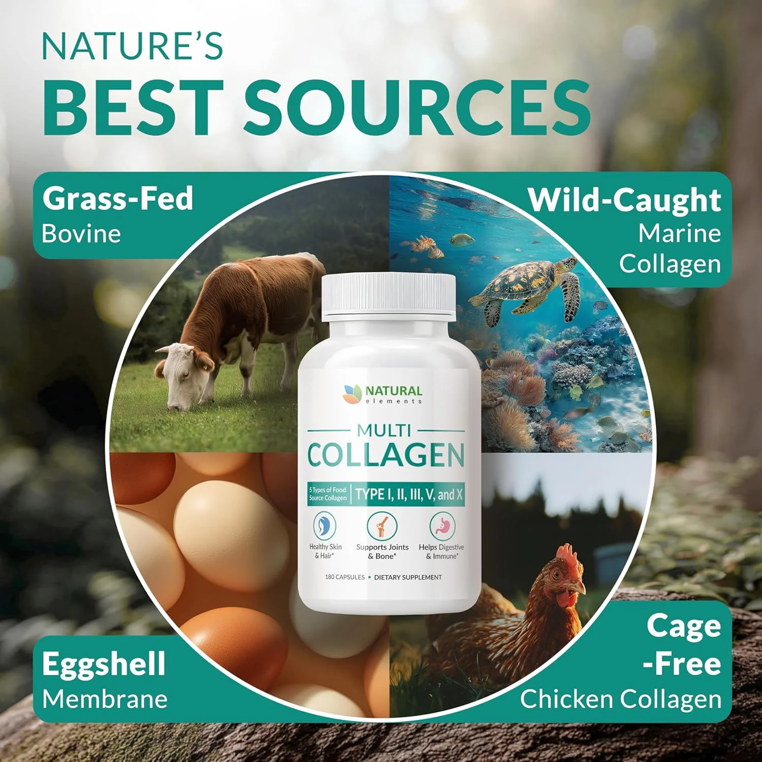 کپسول پروتئینی کلاژن طبیعی Multi Collagen 180 - کلاژن نوع I، II، III، V، X - ترکیب اختصاصی از پوست تخم مرغ، مرغ، ماهی وحشی و پپتیدهای کلاژن گوشت گاو تغذیه شده با علف - 2025 میلی گرم در هر وعده