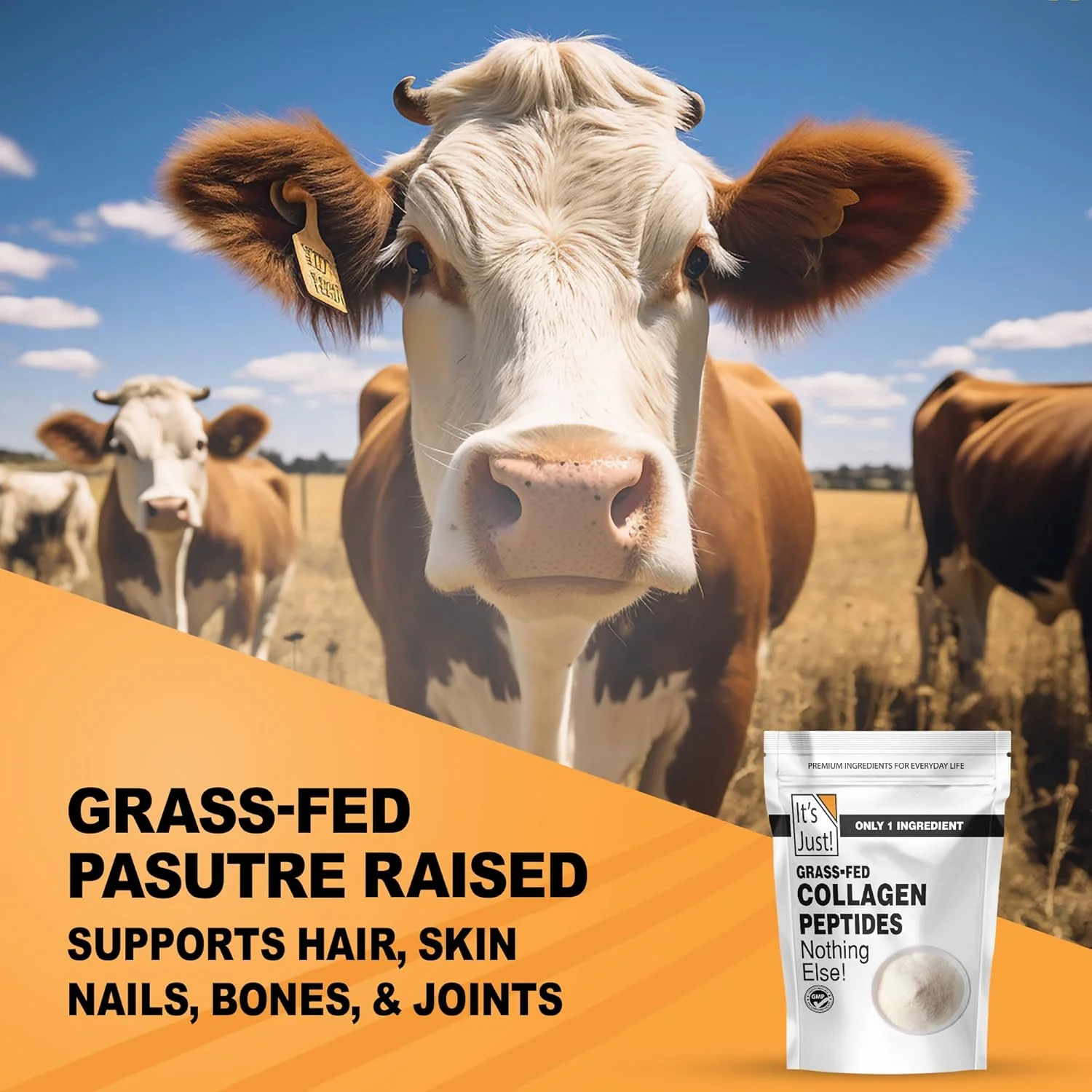 پودر پروتئین کلاژن It's Just!، 1.25 پوند، نوع I و III، پپتیدهای کلاژن هیدرولیز شده خالص از حیوانات تغذیه شده با علف، به سرعت حل می شود، بدون طعم، 20 اونس