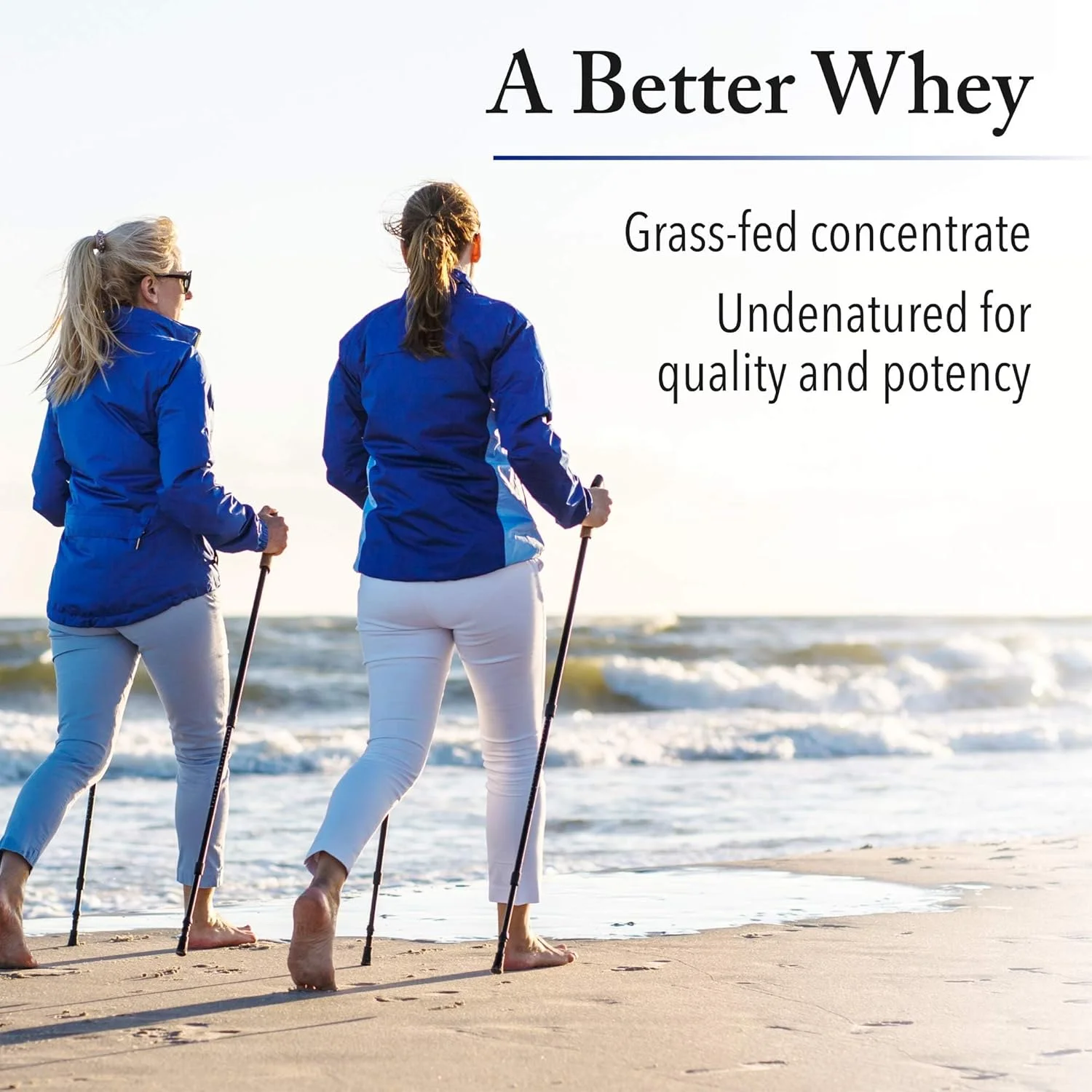 پروتئین وی Natural Factors با طعم وانیل فرانسوی (907 گرم) 72459 پروتئین وی Natural Factors با طعم وانیل فرانسوی (907 گرم) 72459