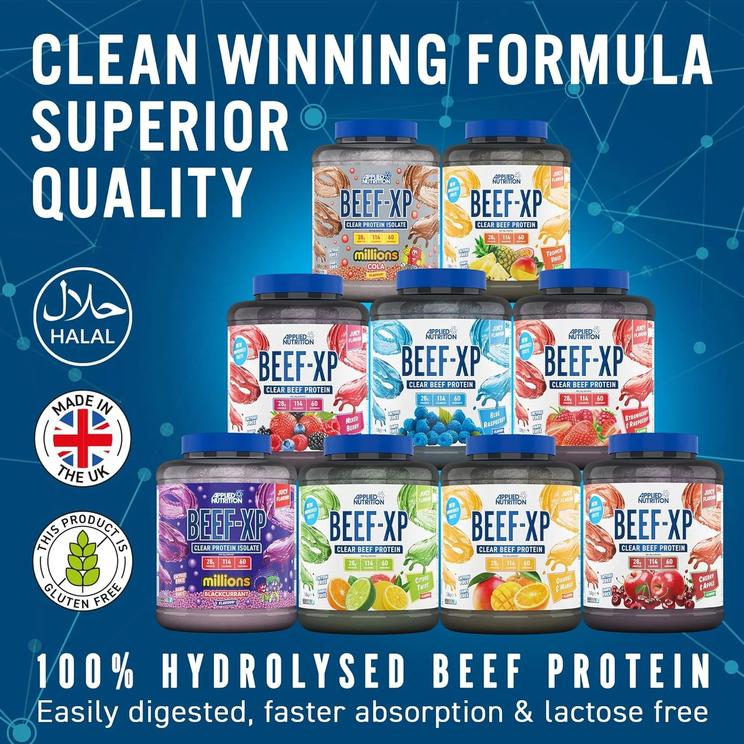 پروتئین ایزوله هیدرولیز شده گوشت گاو Applied Nutrition Beef XP - سبک آب میوه، بدون لبنیات، بدون لاکتوز، بدون شکر، کم چرب (1.8 کیلوگرم، کولا میلیونز) پروتئین ایزوله هیدرولیز شده گوشت گاو Applied Nutrition Beef XP - سبک آب میوه، بدون لبنیات، بدون لاکتوز، بدون شکر، کم چرب (1.8 کیلوگرم، کولا میلیونز)