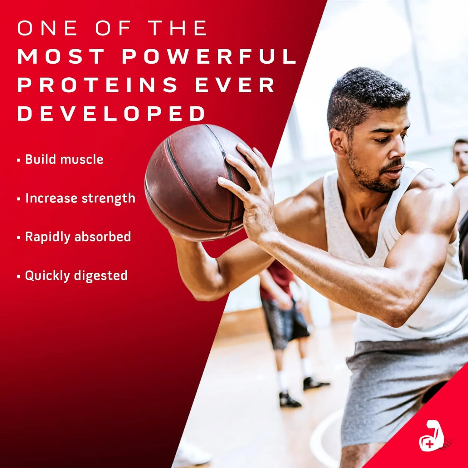 فرمول پروتئین وی نیترو تک الترا پیور ماسل تک برای ریکاوری سریع، بدون گلوتن، با 24 گرم پروتئین، 5.3 گرم BCAA و 4 گرم گلوتامین و پیش ساز پروتئین، نوشیدنی پروتئینی، شکلات دوبل ریچ، 5.00 پوند فرمول پروتئین وی نیترو تک الترا پیور ماسل تک برای ریکاوری سریع، بدون گلوتن، با 24 گرم پروتئین، 5.3 گرم BCAA و 4 گرم گلوتامین و پیش ساز پروتئین، نوشیدنی پروتئینی، شکلات دوبل ریچ، 5.00 پوند