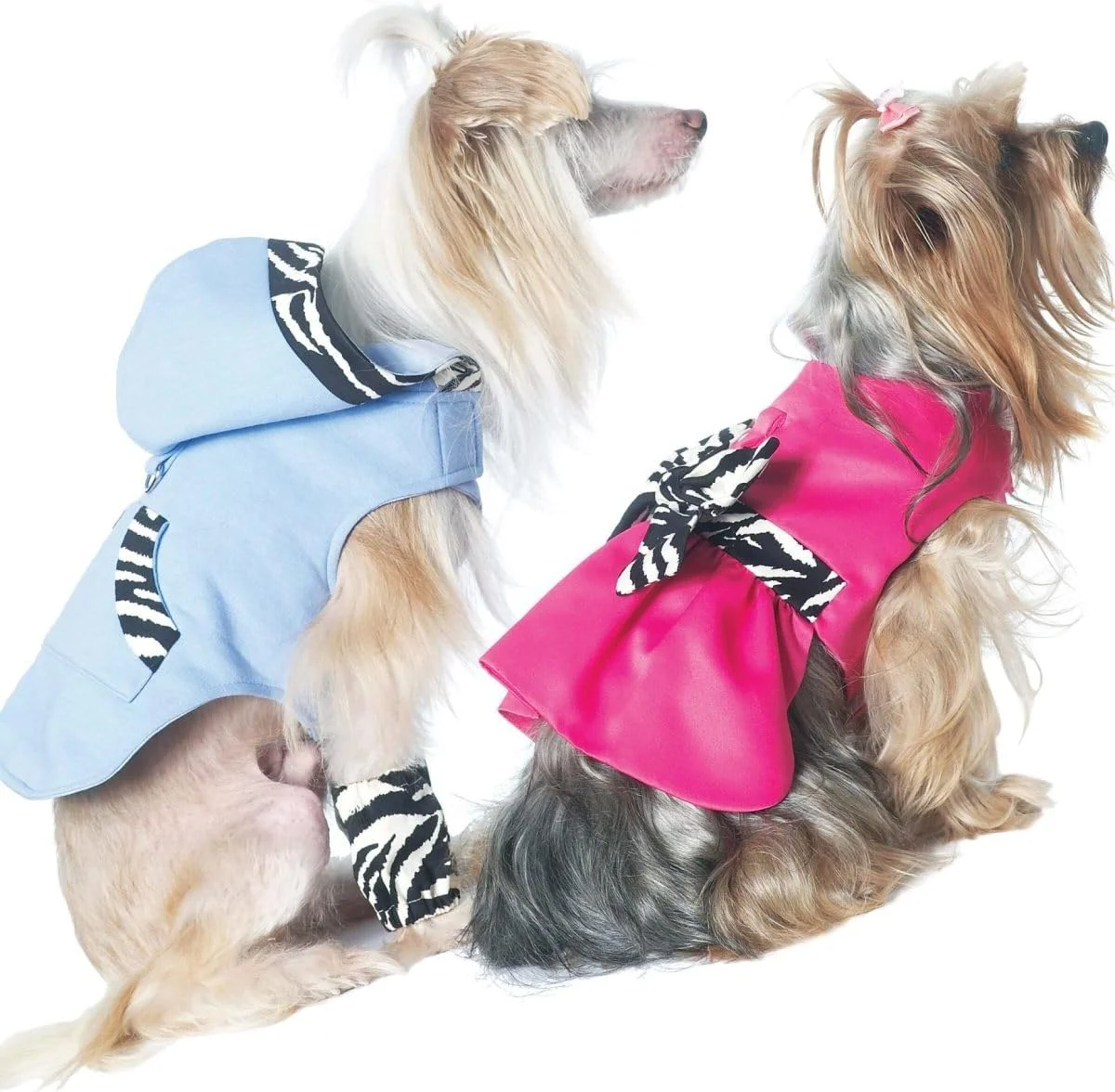 الگوهای خیاطی لباس سگ McCall's M6218