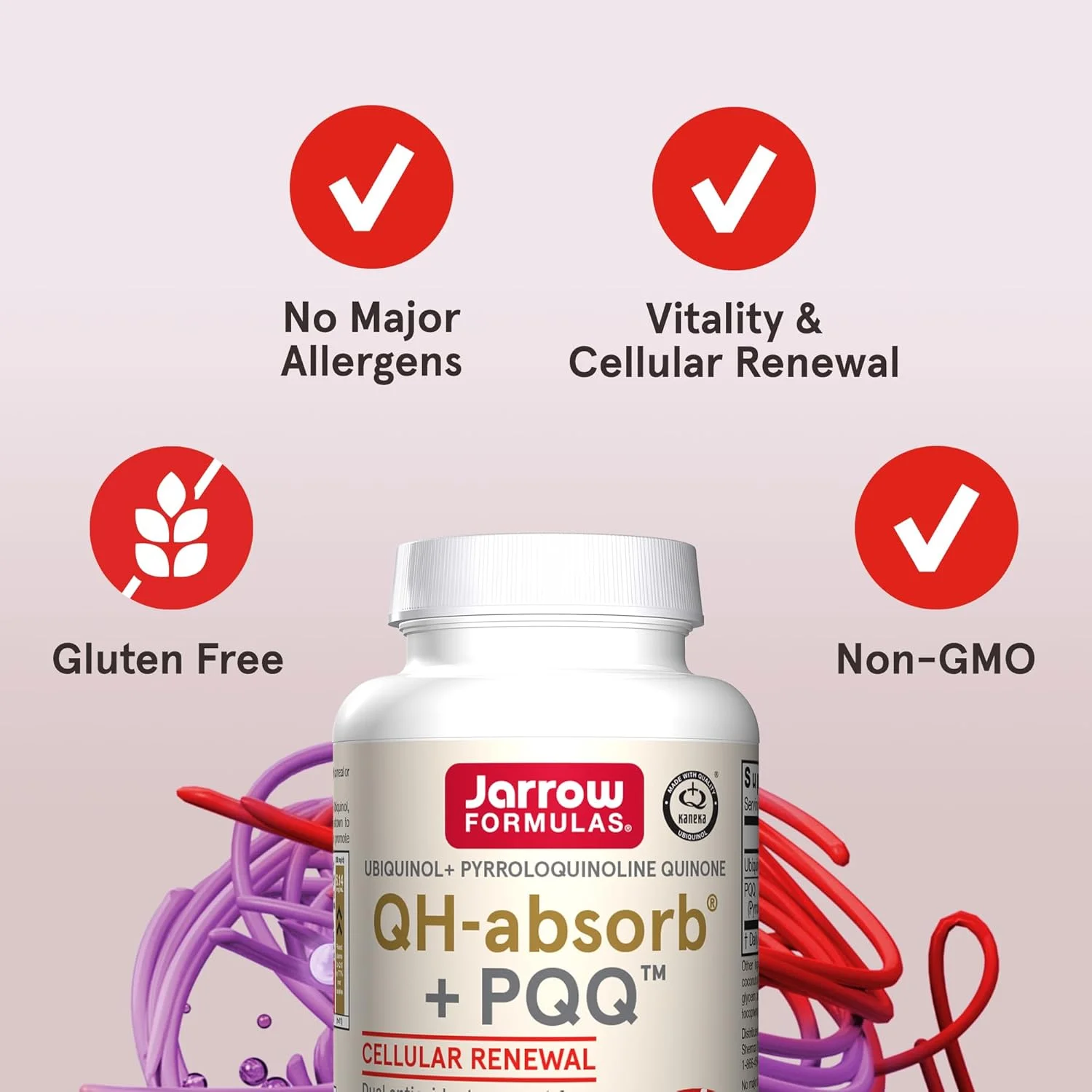 مکمل غذایی Jarrow Formulas QH-Absorb + PQQ - پشتیبانی از بیوژنز میتوکندری، تولید انرژی و سلامت قلب و عروق - بدون گلوتن - تا 60 سروینگ (سافت ژل) (بسته بندی ممکن است متفاوت باشد) مکمل غذایی Jarrow Formulas QH-Absorb + PQQ - پشتیبانی از بیوژنز میتوکندری، تولید انرژی و سلامت قلب و عروق - بدون گلوتن - تا 60 سروینگ (سافت ژل) (بسته بندی ممکن است متفاوت باشد)