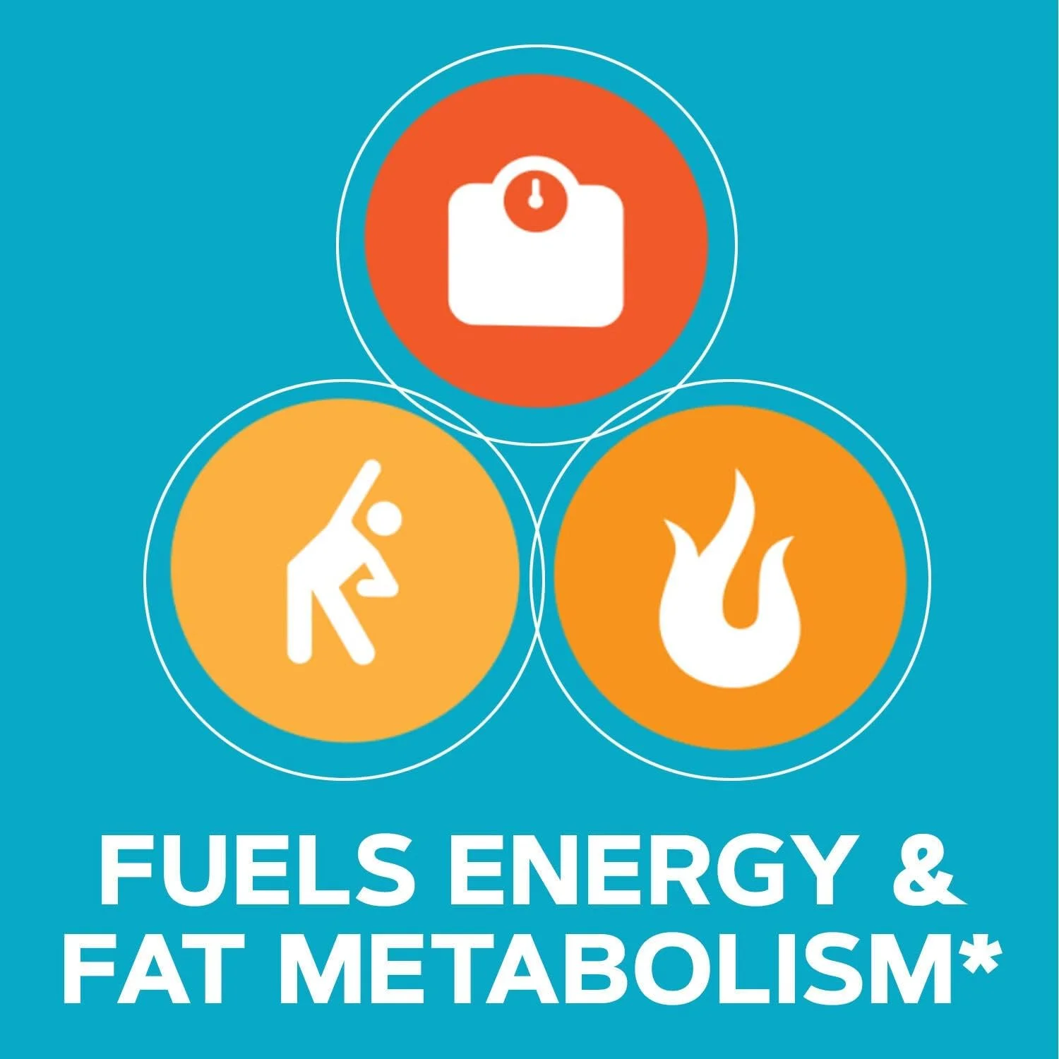 مکمل غذایی GNC Total Lean Cla - 180 سافت ژل