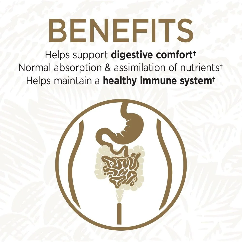 مکمل پروبیوتیک غذای کامل Garden of Life - مکمل غذایی پروبیوتیک نهایی Primal Defense Ultra برای سلامت دستگاه گوارش و روده، 90 کپسول گیاهی مکمل پروبیوتیک غذای کامل Garden of Life - مکمل غذایی پروبیوتیک نهایی Primal Defense Ultra برای سلامت دستگاه گوارش و روده، 90 کپسول گیاهی