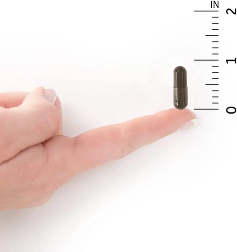 مکمل پروبیوتیک غذای کامل Garden of Life - مکمل غذایی پروبیوتیک نهایی Primal Defense Ultra برای سلامت دستگاه گوارش و روده، 90 کپسول گیاهی مکمل پروبیوتیک غذای کامل Garden of Life - مکمل غذایی پروبیوتیک نهایی Primal Defense Ultra برای سلامت دستگاه گوارش و روده، 90 کپسول گیاهی