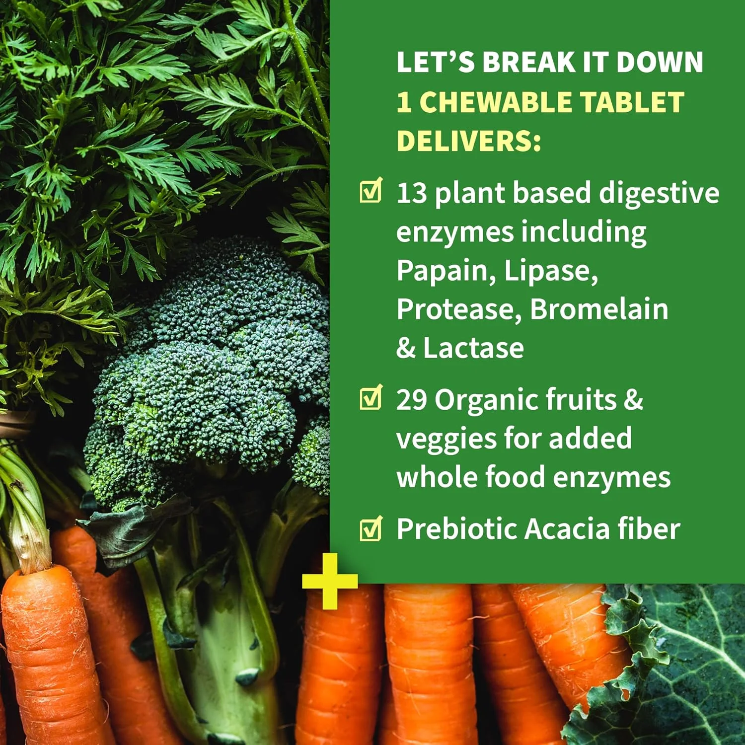 مکمل آنزیم جویدنی ارگانیک Garden of Life - آنزیم های فرموله شده توسط دکتر، Organic Digest+، 90 قرص جویدنی مکمل آنزیم جویدنی ارگانیک Garden of Life - آنزیم های فرموله شده توسط دکتر، Organic Digest+، 90 قرص جویدنی