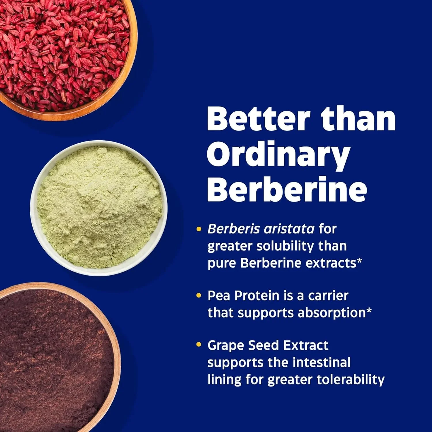 انزیمدیکا بربرین فیتوزوم 60 کپسول | مکمل غذایی وگان برای متابولیسم قند خون سالم انزیمدیکا بربرین فیتوزوم 60 کپسول | مکمل غذایی وگان برای متابولیسم قند خون سالم