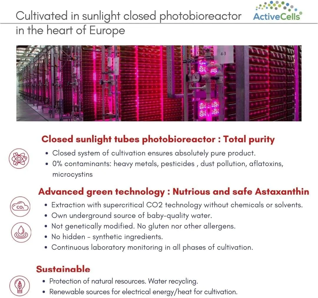 کپسول های آستاگزانتین ActiveCells® 8 میلی گرم 60 عدد برای 2 ماه - مکمل غذایی - آستاگزانتین طبیعی گیاهی - پشتیبانی از سیستم ایمنی بدن - کپسول های وگان فوق العاده خالص و ایمن