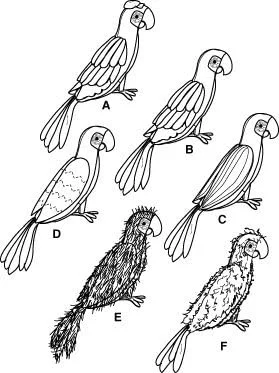 الگوی خیاطی حیوانات عروسکی سادگی 3691 - پرندگان گرمسیری، طوطی ها و ماکائو