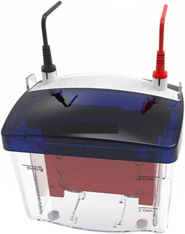 مخزن الکتروفورز عمودی مینی LZFuiop، تجهیزات الکتروفورز آزمایشگاهی، مخزن انتقال نمونه پروتئین، ابزار الکتروفورز تست تحقیقات علمی