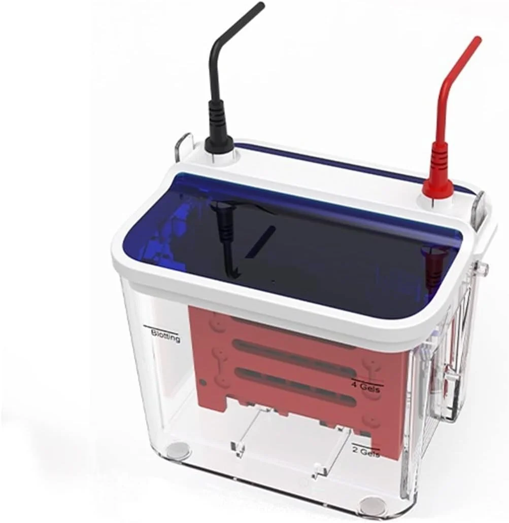 مخزن الکتروفورز عمودی کوچک GZDcjsc، تجهیزات الکتروفورز آزمایشگاهی، مخزن انتقال نمونه پروتئین، ابزار الکتروفورز تست تحقیقات علمی مخزن الکتروفورز عمودی کوچک GZDcjsc، تجهیزات الکتروفورز آزمایشگاهی، مخزن انتقال نمونه پروتئین، ابزار الکتروفورز تست تحقیقات علمی