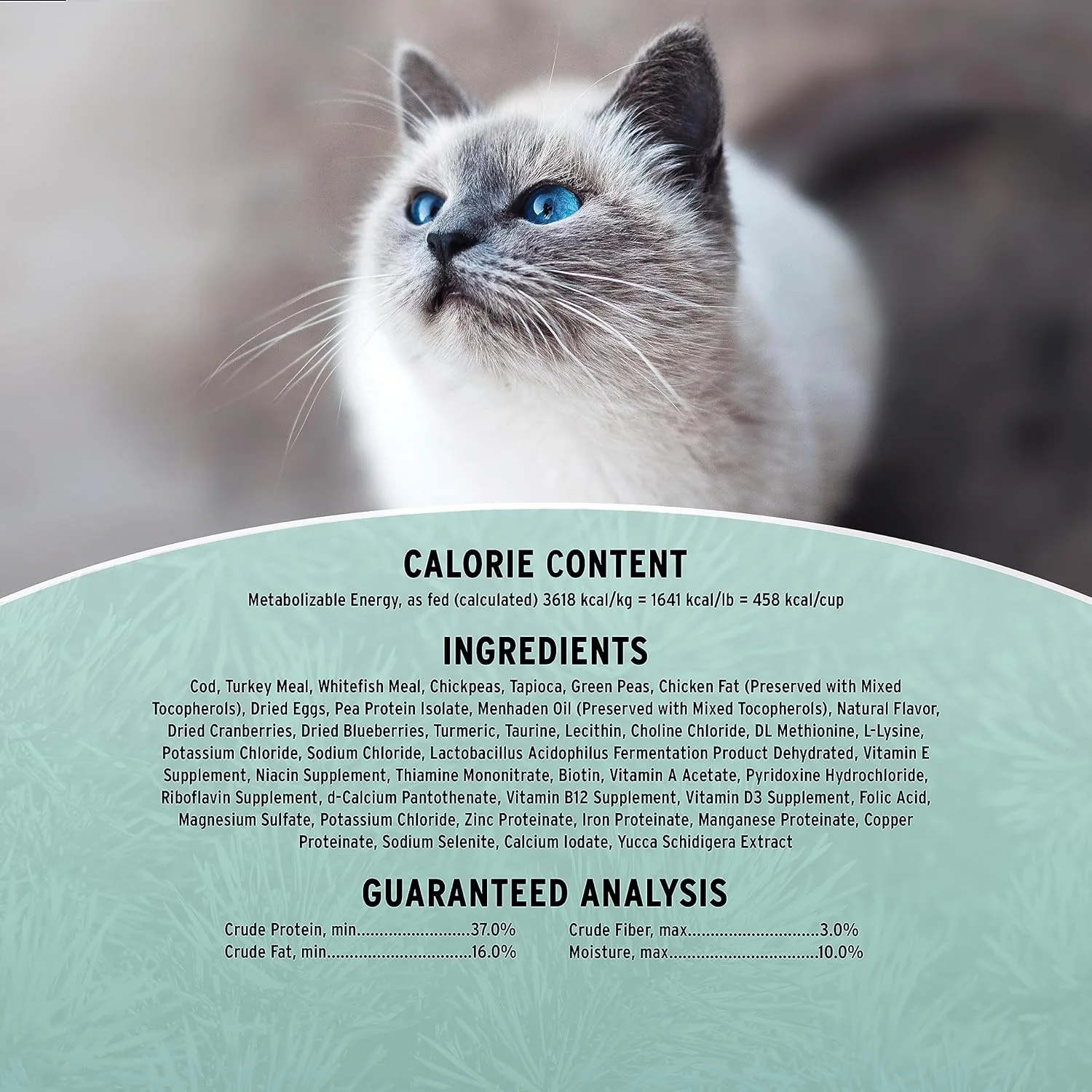 غذای خشک گربه بدون غلات Annamaet Feline Sustain No. 29 (کد صید شده با قلاب و بوقلمون آزاد)، کیسه 12 پوندی غذای خشک گربه بدون غلات Annamaet Feline Sustain No. 29 (کد صید شده با قلاب و بوقلمون آزاد)، کیسه 12 پوندی