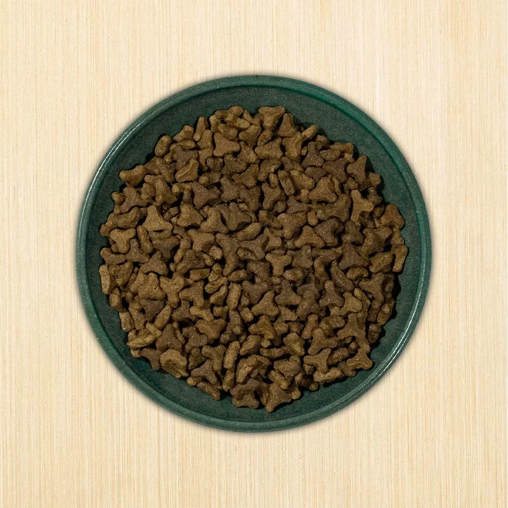 غذای خشک گربه بدون غلات Annamaet Feline Sustain No. 29 (کد صید شده با قلاب و بوقلمون آزاد)، کیسه 12 پوندی غذای خشک گربه بدون غلات Annamaet Feline Sustain No. 29 (کد صید شده با قلاب و بوقلمون آزاد)، کیسه 12 پوندی