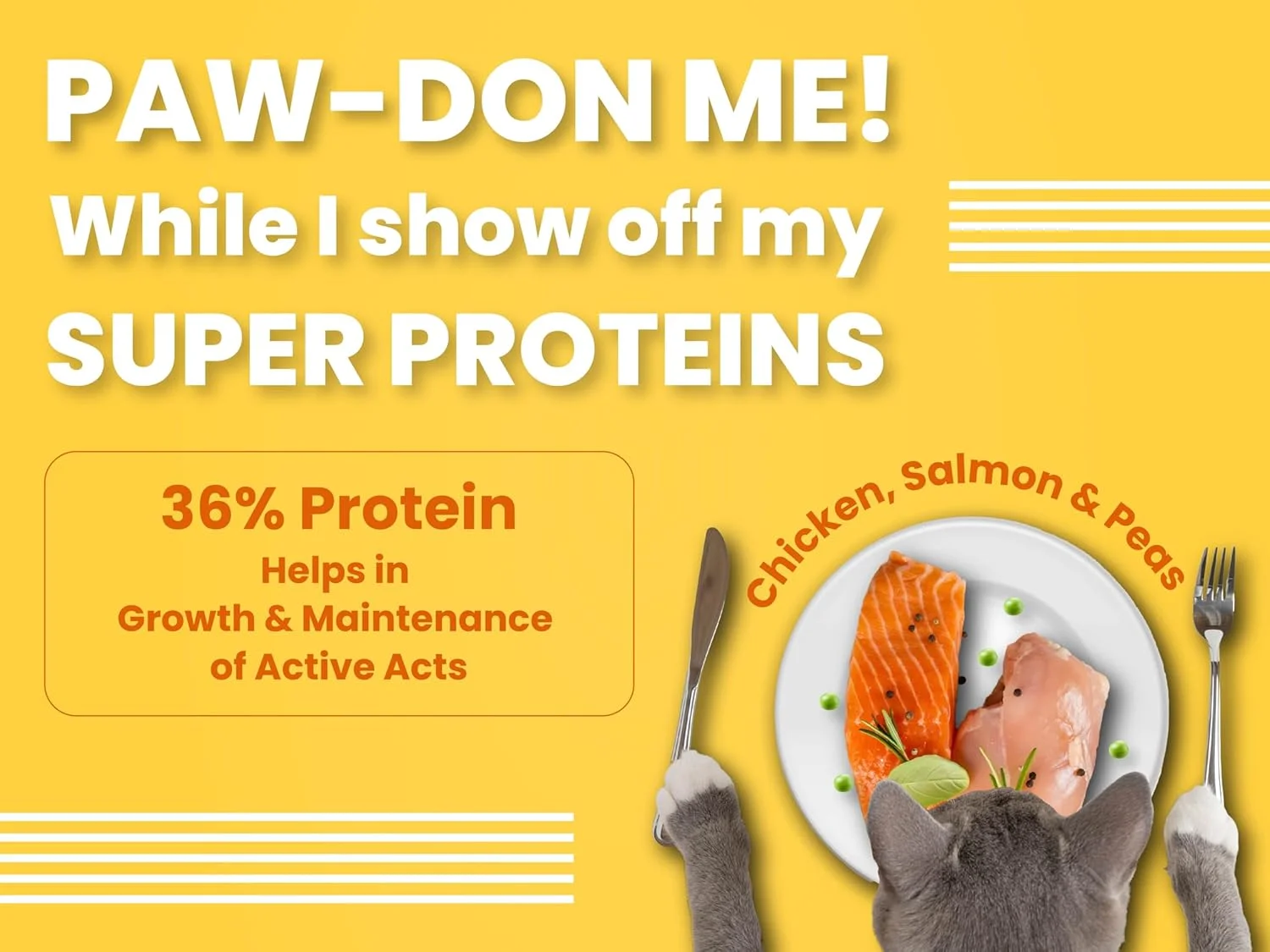 غذای خشک گربه بالغ با طعم مرغ و ماهی سالمون Bark Out Loud Bol، وزن 100 گرم غذای خشک گربه بالغ با طعم مرغ و ماهی سالمون Bark Out Loud Bol، وزن 100 گرم