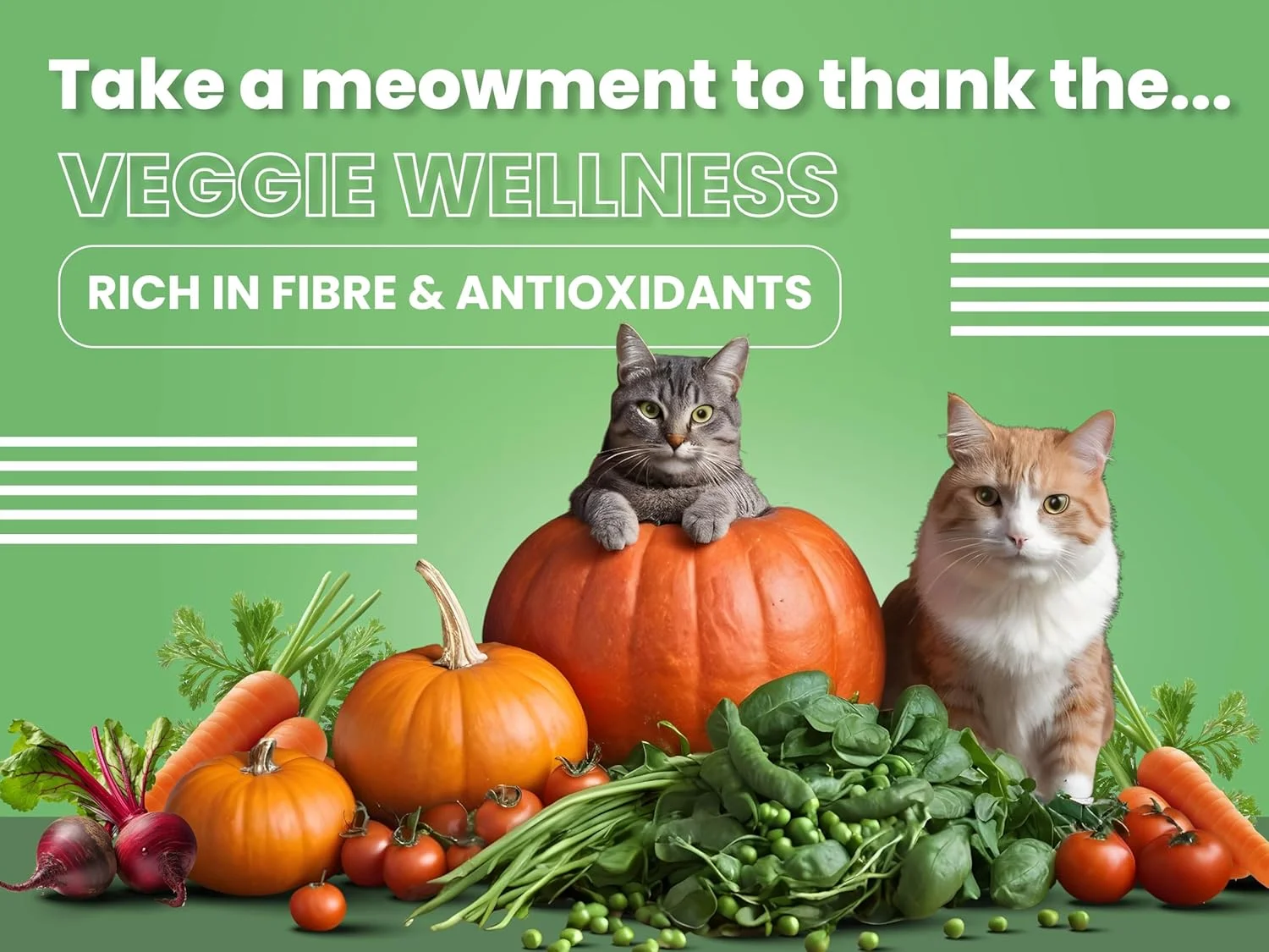 غذای خشک گربه بالغ با طعم مرغ و ماهی سالمون Bark Out Loud Bol، وزن 100 گرم غذای خشک گربه بالغ با طعم مرغ و ماهی سالمون Bark Out Loud Bol، وزن 100 گرم