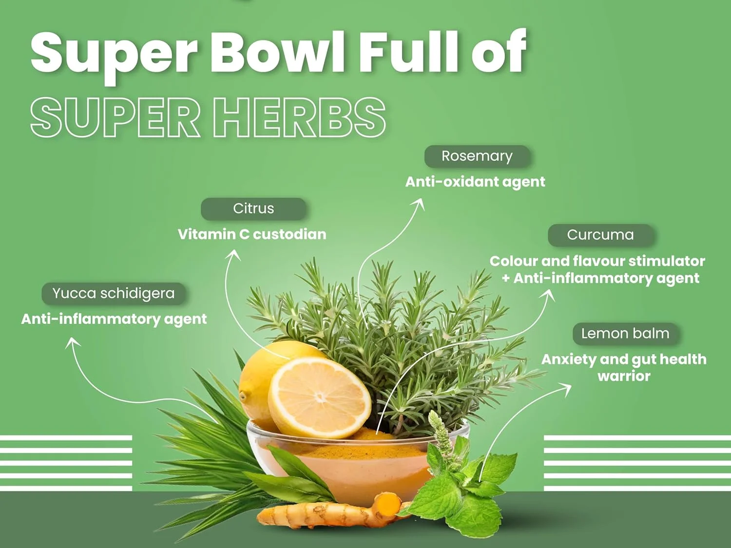 غذای خشک گربه بالغ با طعم مرغ و ماهی سالمون Bark Out Loud Bol، وزن 100 گرم غذای خشک گربه بالغ با طعم مرغ و ماهی سالمون Bark Out Loud Bol، وزن 100 گرم