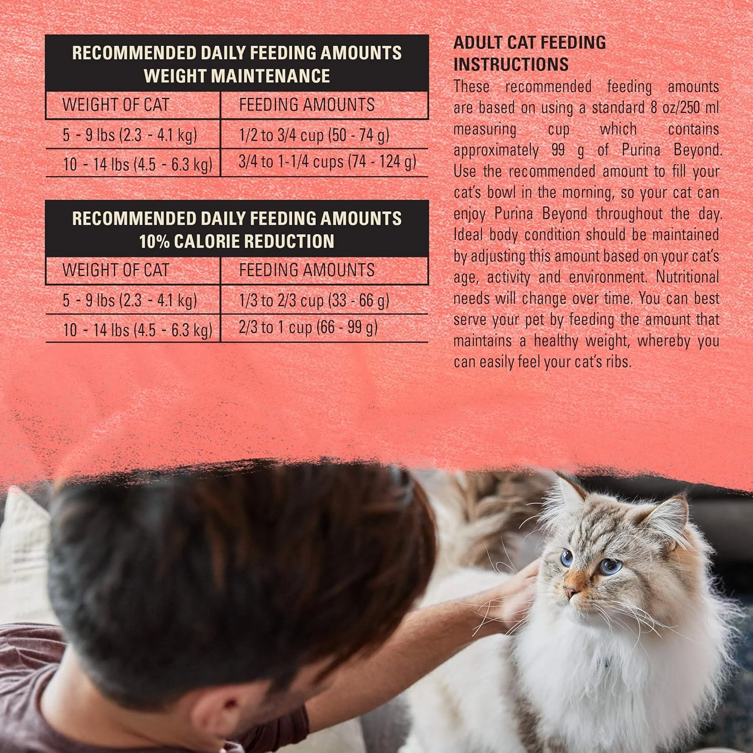 غذای خشک گربه بالغ بدون غلات Beyond Purina با طعم ماهی سالمون، تخم مرغ و سیب زمینی شیرین، 11 پوند غذای خشک گربه بالغ بدون غلات Beyond Purina با طعم ماهی سالمون، تخم مرغ و سیب زمینی شیرین، 11 پوند
