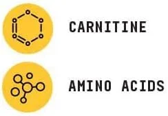 پودر ال-کارنیتین BEYOND RAW Chemistry Labs | سوخت رسانی به تمرین و پشتیبانی از ریکاوری | 30 سروینگ پودر ال-کارنیتین BEYOND RAW Chemistry Labs | سوخت رسانی به تمرین و پشتیبانی از ریکاوری | 30 سروینگ