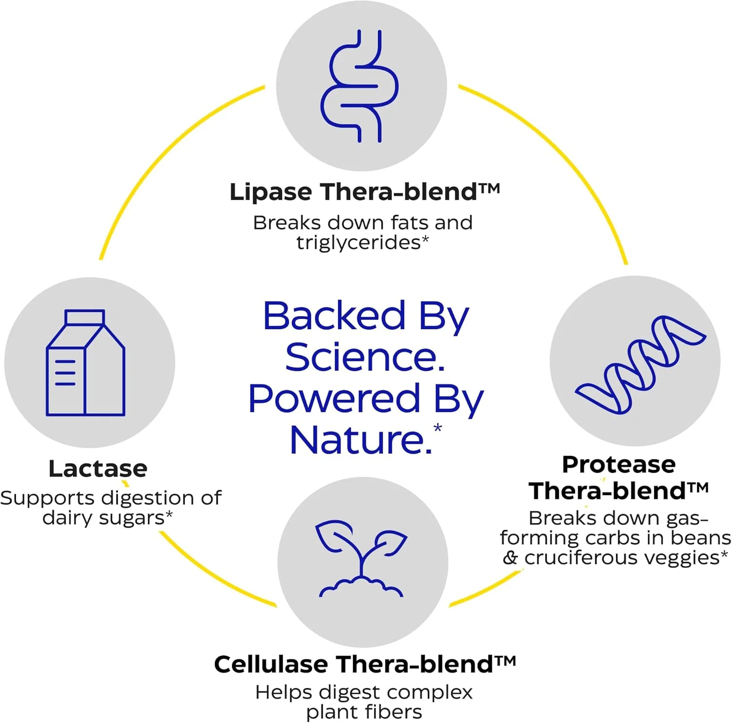 آنزیمدیکا Digest Spectrum - ۲۴۰ کپسول