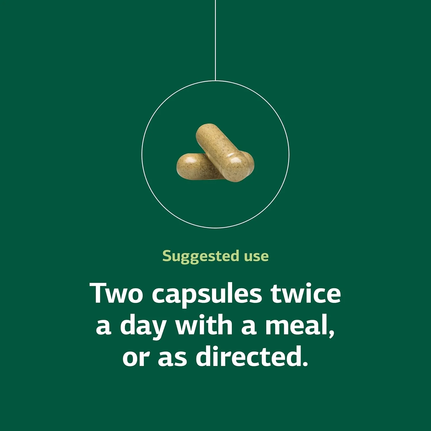 Standard Process Inc. Diaplex - Whole Food Bowel, Pancreas, Metabolism, Antioxidant, Gallbladder Support and Blood Sugar Support with Pepsin, Betaine Hydrochloride, Soy Protein -150 Capsules Standard Process Inc. Diaplex - Whole Food Bowel, Pancreas, Metabolism, Antioxidant, Gallbladder Support and Blood Sugar Support with Pepsin, Betaine Hydrochloride, Soy Protein -150 Capsules