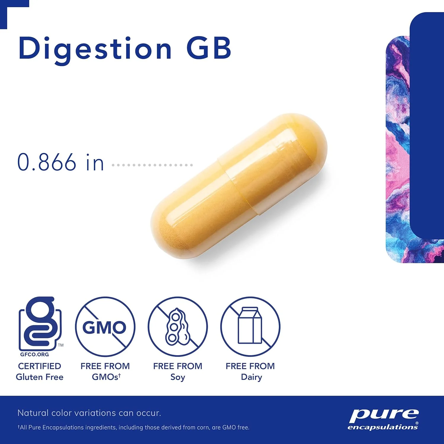 Pure Encapsulations Digestion GB | Digestive Enzyme Supplement to Support Gall Bladder and Digestion of Fat, Carbohydrates, and Protein* | 90 Capsules Pure Encapsulations Digestion GB | Digestive Enzyme Supplement to Support Gall Bladder and Digestion of Fat, Carbohydrates, and Protein* | 90 Capsules