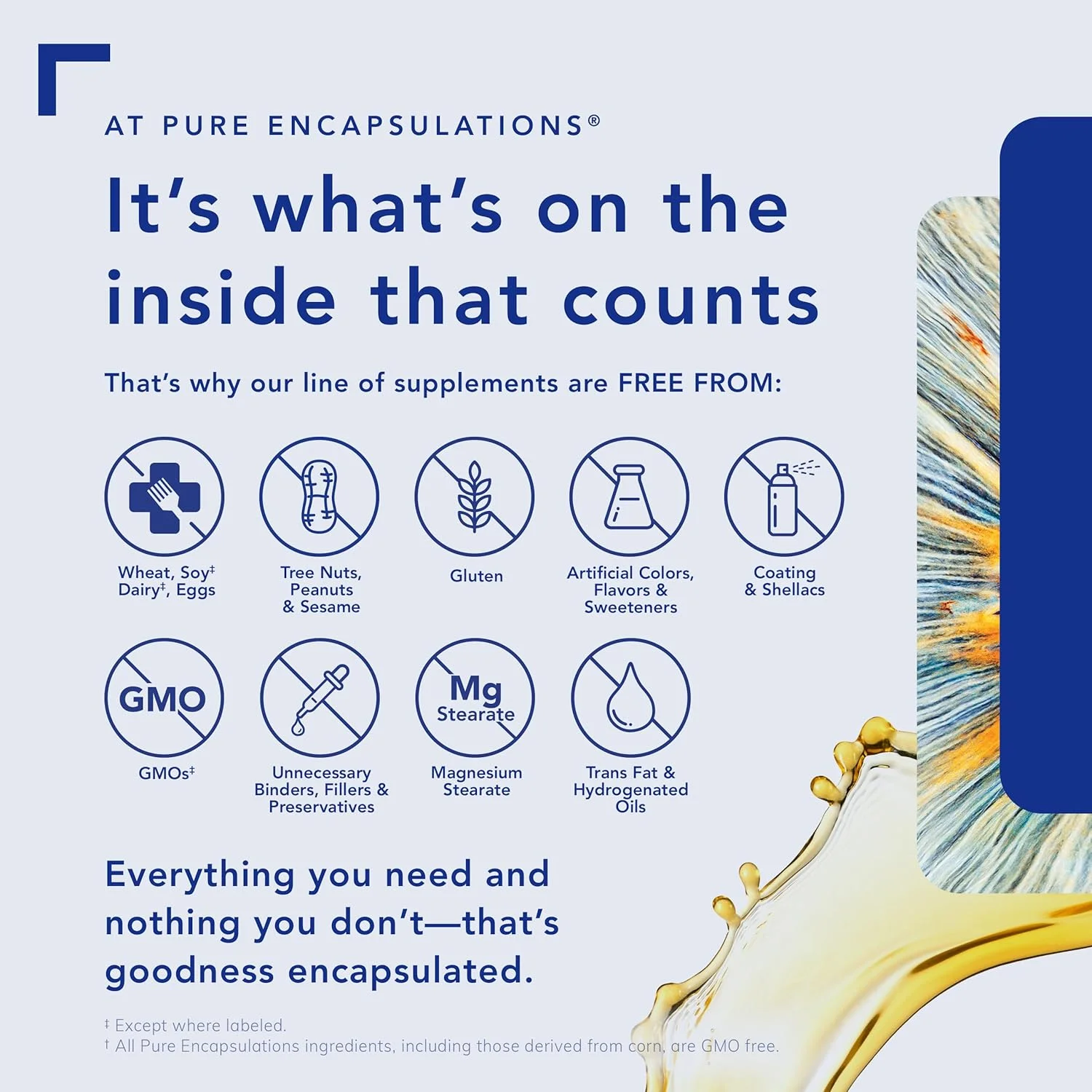 Pure Encapsulations Digestion GB | Digestive Enzyme Supplement to Support Gall Bladder and Digestion of Fat, Carbohydrates, and Protein* | 90 Capsules Pure Encapsulations Digestion GB | Digestive Enzyme Supplement to Support Gall Bladder and Digestion of Fat, Carbohydrates, and Protein* | 90 Capsules