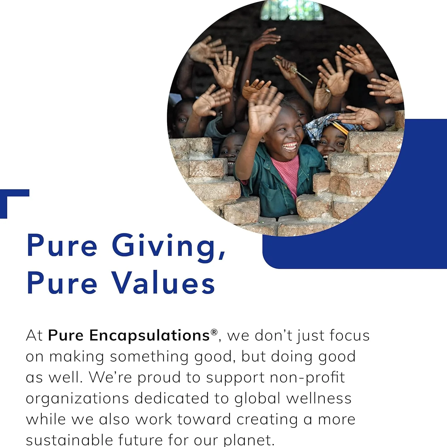 Pure Encapsulations Digestion GB | Digestive Enzyme Supplement to Support Gall Bladder and Digestion of Fat, Carbohydrates, and Protein* | 90 Capsules Pure Encapsulations Digestion GB | Digestive Enzyme Supplement to Support Gall Bladder and Digestion of Fat, Carbohydrates, and Protein* | 90 Capsules