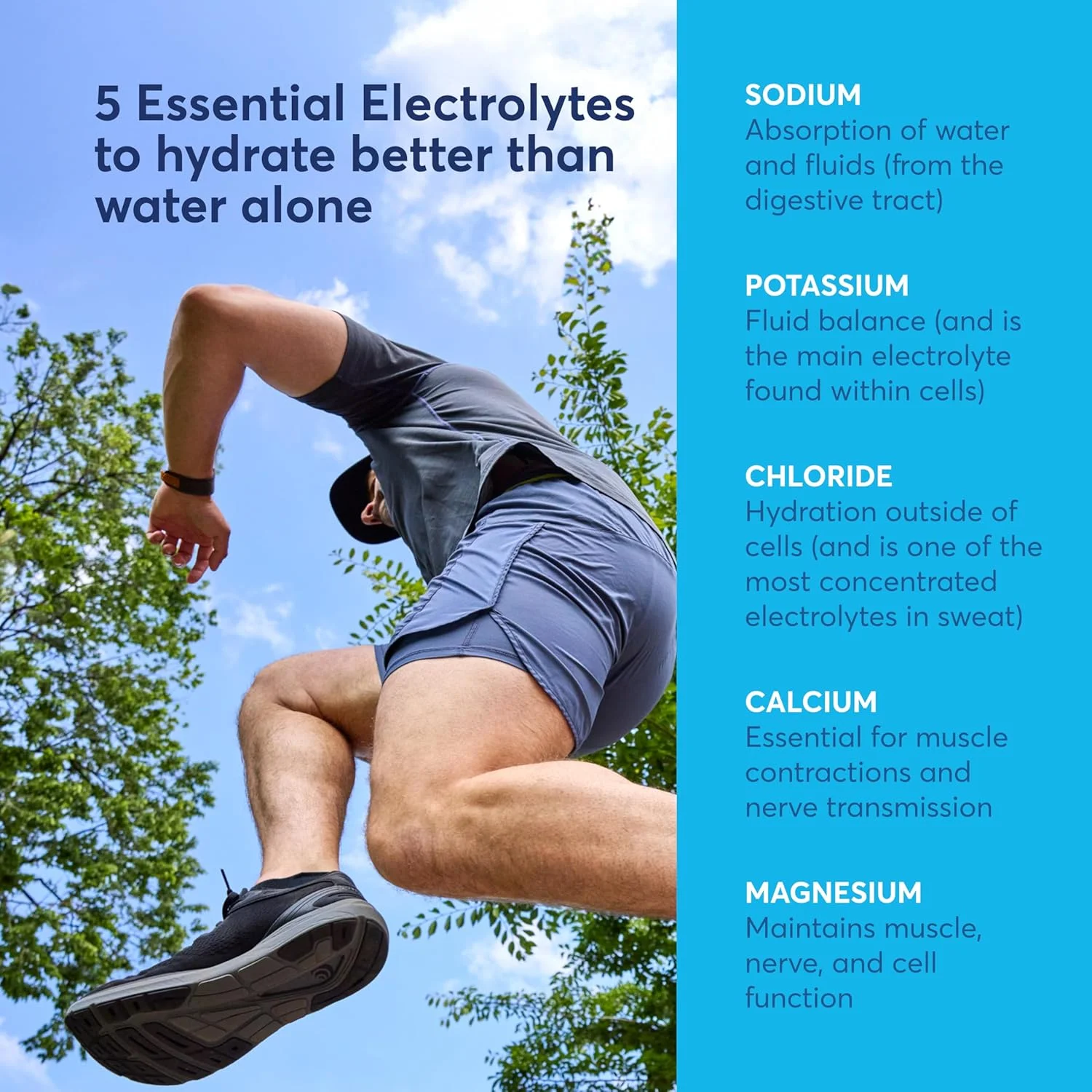 نوشیدنی ورزشی نون اندورنس | پشتیبانی از تمرین | الکترولیت ها و کربوهیدرات ها (طعم توت فرنگی لیموناد، 16 سروینگ - قوطی) نوشیدنی ورزشی نون اندورنس | پشتیبانی از تمرین | الکترولیت ها و کربوهیدرات ها (طعم توت فرنگی لیموناد، 16 سروینگ - قوطی)