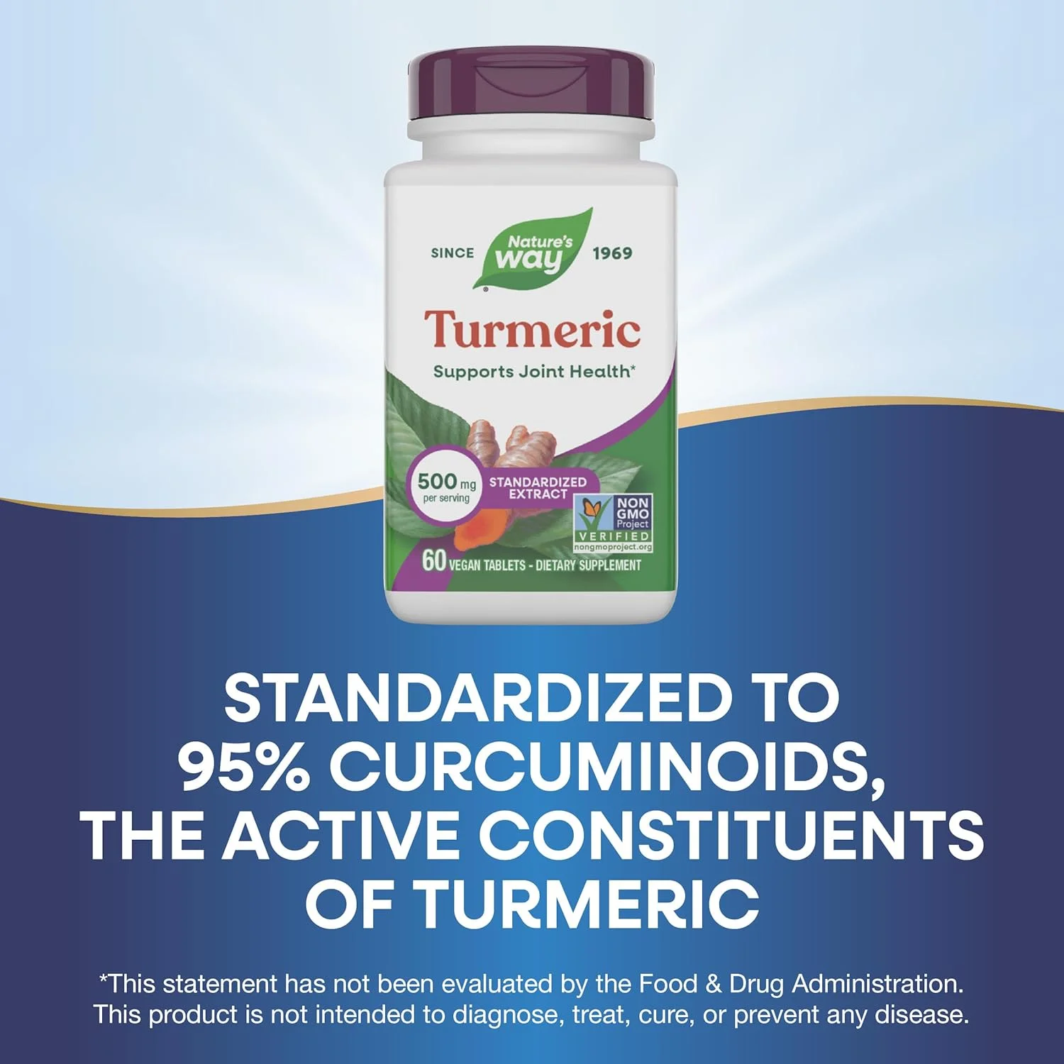 عصاره زردچوبه Nature's Way 500 میلی گرم، 60 قرص عصاره زردچوبه Nature's Way 500 میلی گرم، 60 قرص