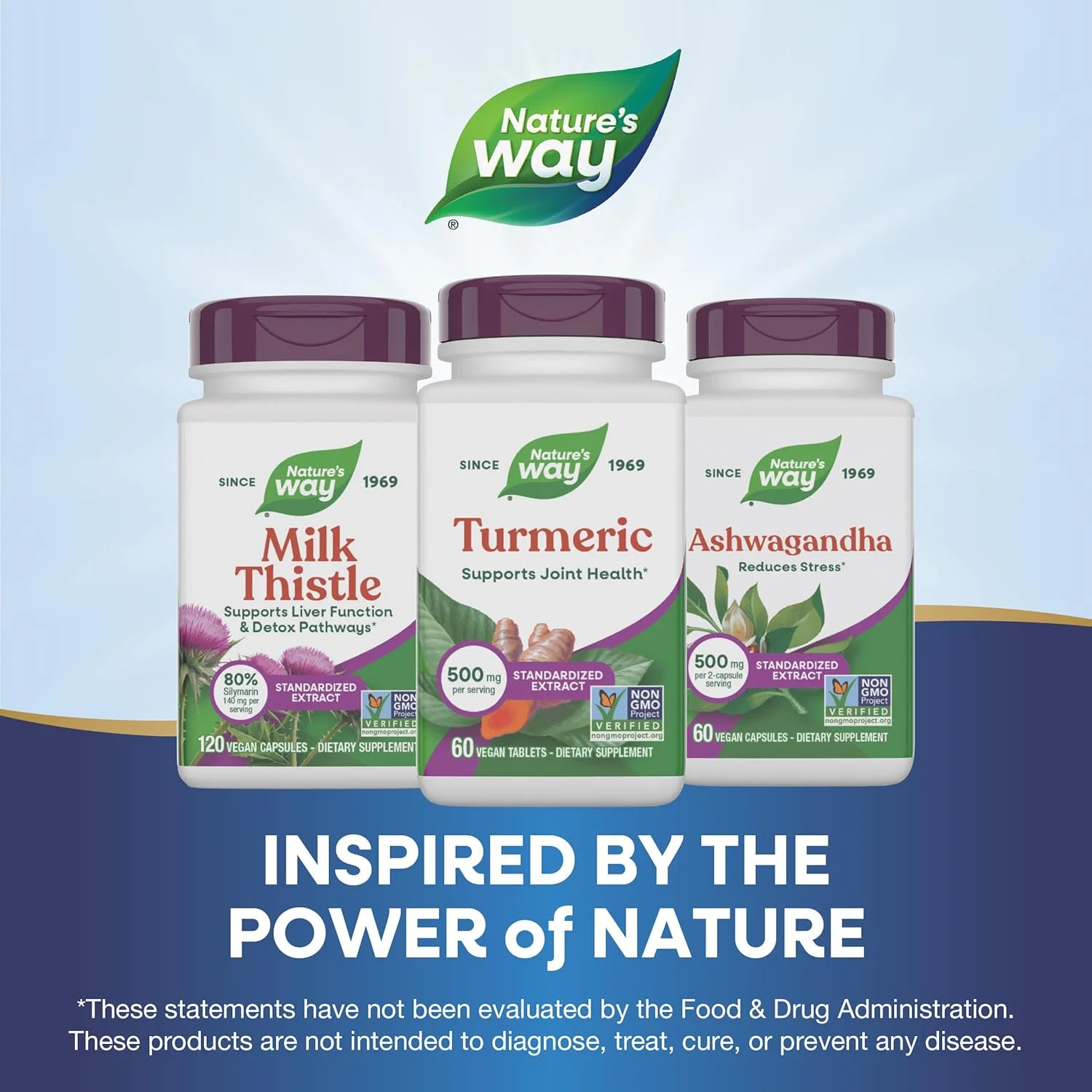 عصاره زردچوبه Nature's Way 500 میلی گرم، 60 قرص عصاره زردچوبه Nature's Way 500 میلی گرم، 60 قرص