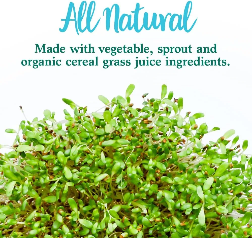 مکمل سبزیجات غذایی کامل Garden Of Life - پودر غذای فوق العاده سبز Perfect Food، 600 گرم مکمل سبزیجات غذایی کامل Garden Of Life - پودر غذای فوق العاده سبز Perfect Food، 600 گرم