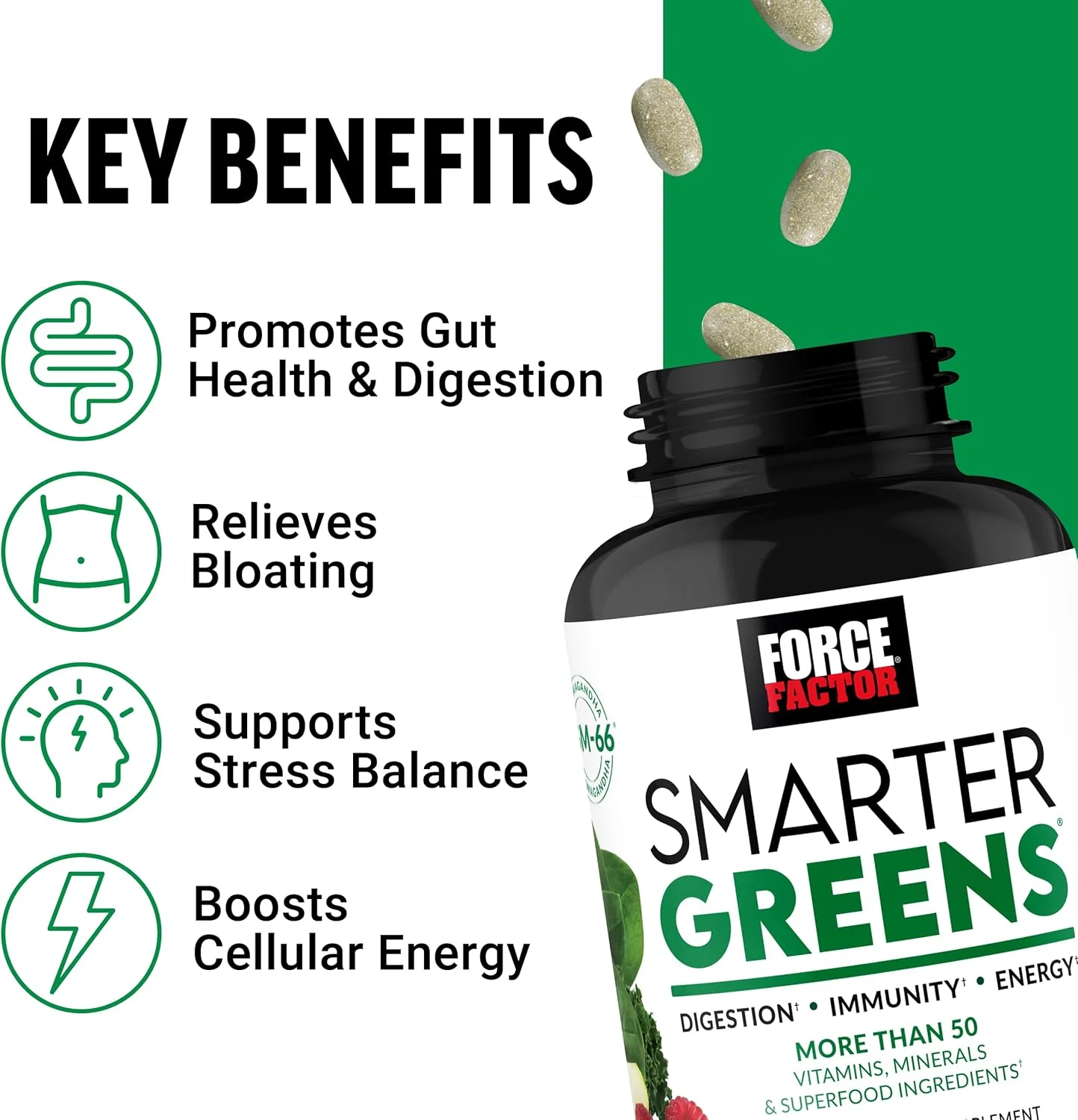 قرص های سبزیجات FORCE FACTOR Smarter Greens، مکمل سبزیجات با بیش از 25 ماده غذایی فوق العاده و آنتی اکسیدان برای بهبود هضم، کاهش استرس، تقویت ایمنی و حمایت از متابولیسم، 90 قرص قرص های سبزیجات FORCE FACTOR Smarter Greens، مکمل سبزیجات با بیش از 25 ماده غذایی فوق العاده و آنتی اکسیدان برای بهبود هضم، کاهش استرس، تقویت ایمنی و حمایت از متابولیسم، 90 قرص