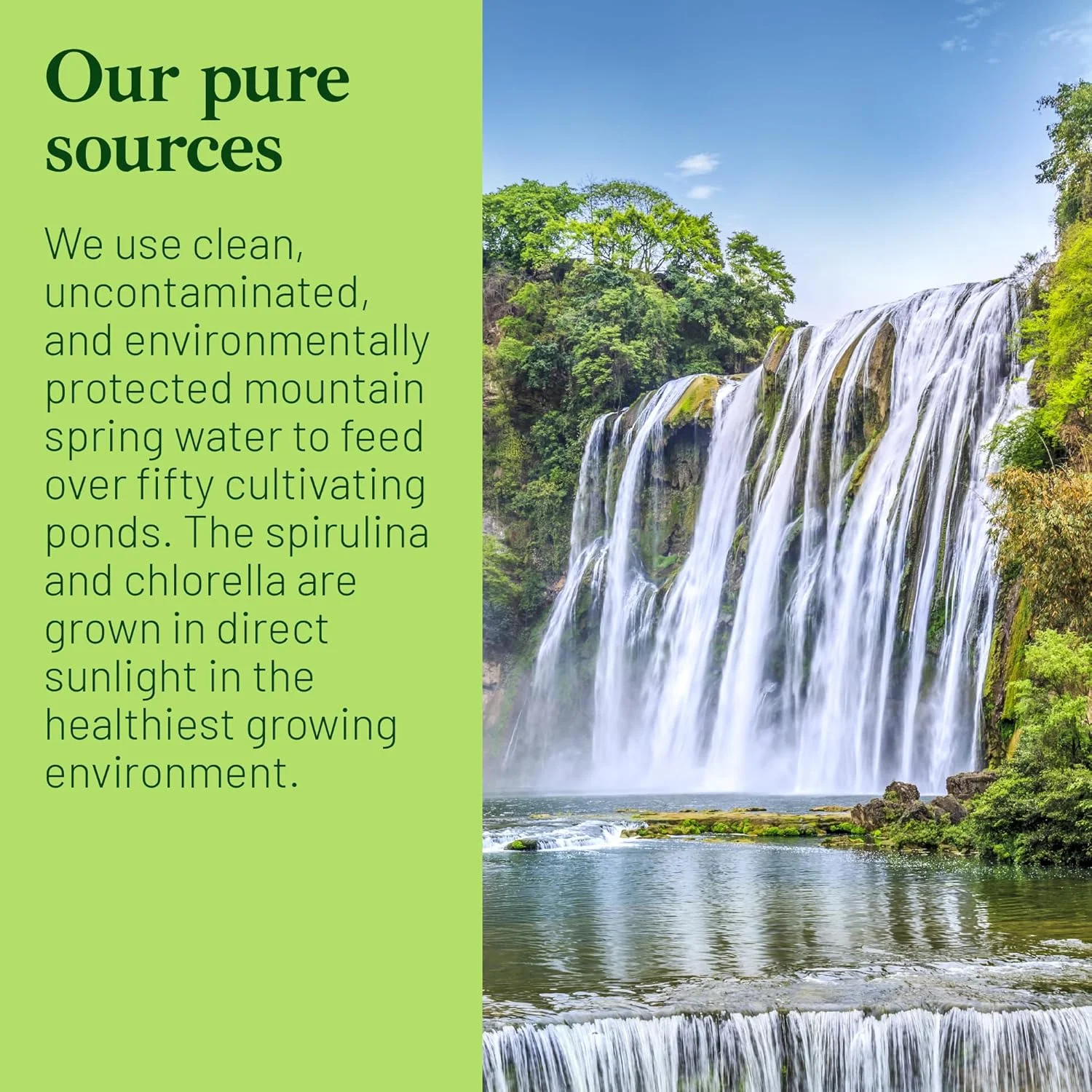 کلرلا اسپیرولینا پریمیوم گود نیچرد | 1250 قرص (تامین 4 ماهه) | غیر GMO | وگان | رشد یافته در نور خورشید | رنگ سبز تیره | دیواره سلولی شکسته | قلیایی کننده | پروتئین بالا با آهن و روی |