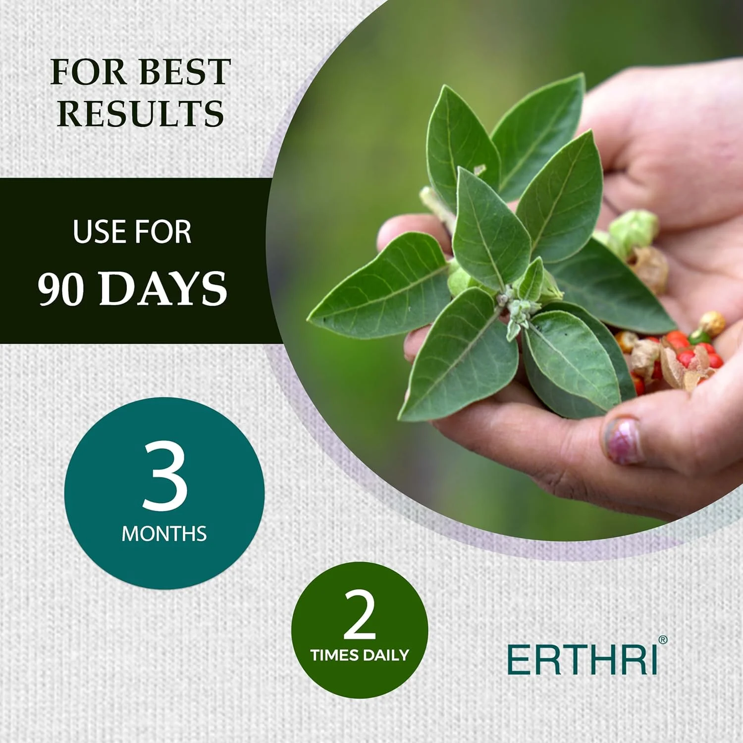 قرص مورینگا ارثری - 12000 میلی گرم در هر وعده، 90 قرص | 100% عصاره طبیعی برگ گز روغنی | تقویت کننده ایمنی | پشتیبانی از هضم و اشتها | مکمل گیاهی و ارگانیک قرص مورینگا ارثری - 12000 میلی گرم در هر وعده، 90 قرص | 100% عصاره طبیعی برگ گز روغنی | تقویت کننده ایمنی | پشتیبانی از هضم و اشتها | مکمل گیاهی و ارگانیک