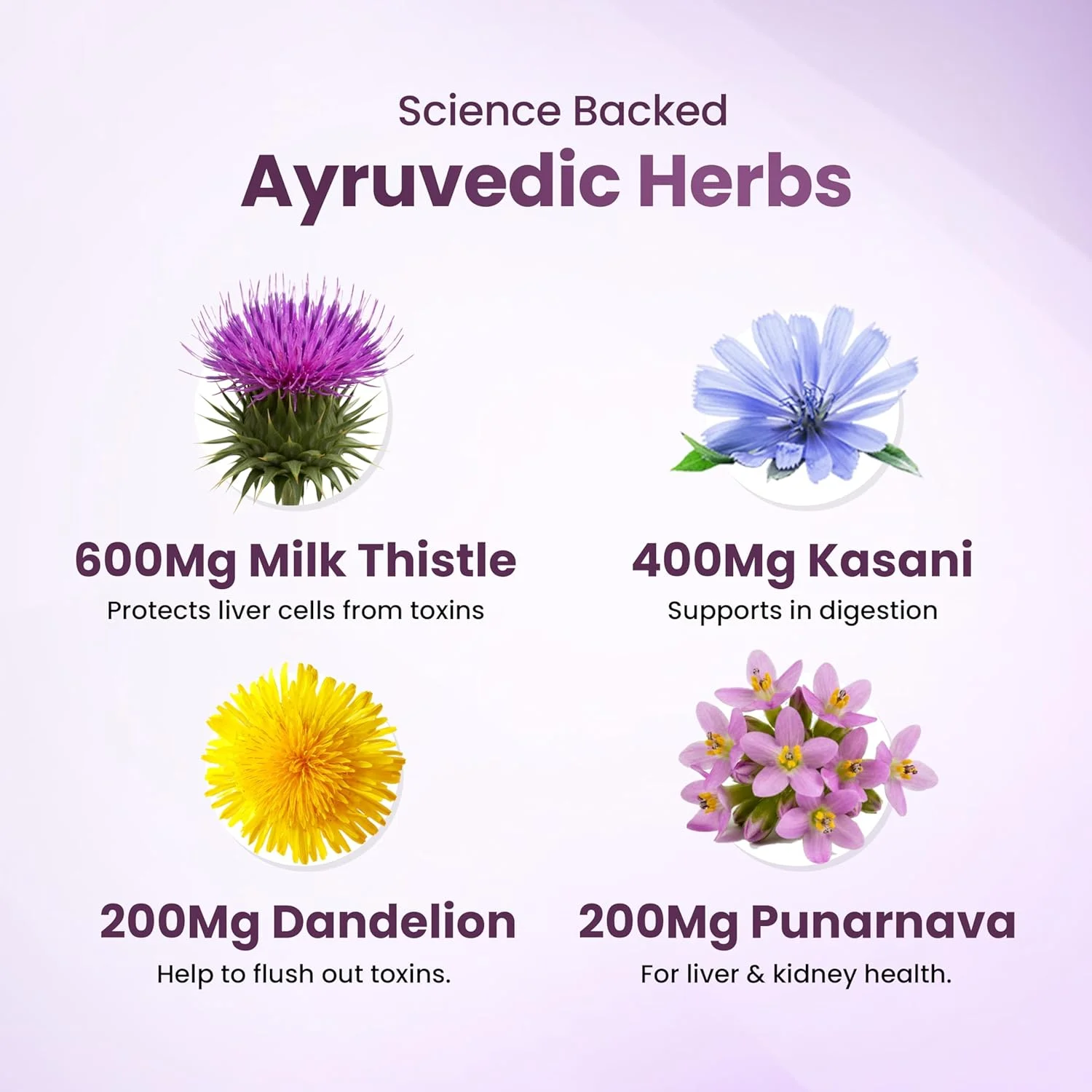 قرص خار مریم Meadbery Liver Detox برای عملکرد سالم کبد، هضم سالم، محافظت طبیعی در برابر کبد چرب، مواد تشکیل دهنده مورد تحقیق بالینی، سلامت کبد، سم زدایی کبد، 120 عدد قرص خار مریم Meadbery Liver Detox برای عملکرد سالم کبد، هضم سالم، محافظت طبیعی در برابر کبد چرب، مواد تشکیل دهنده مورد تحقیق بالینی، سلامت کبد، سم زدایی کبد، 120 عدد