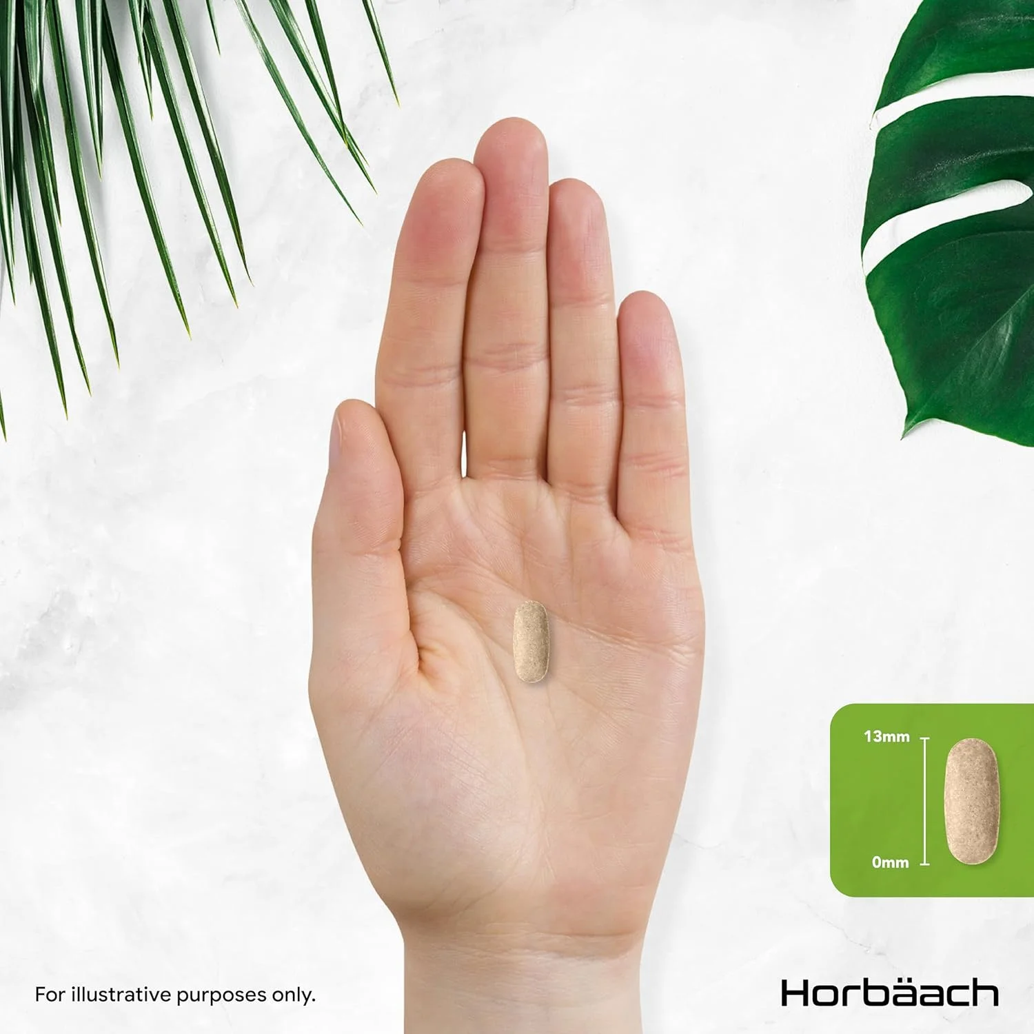 عصاره بوسولیا سراتا 4200 میلی گرم | 65% (273 میلی گرم) اسید بوسولیک | 120 قرص گیاهی | مکمل کندر هندی | توسط Horbaach عصاره بوسولیا سراتا 4200 میلی گرم | 65% (273 میلی گرم) اسید بوسولیک | 120 قرص گیاهی | مکمل کندر هندی | توسط Horbaach