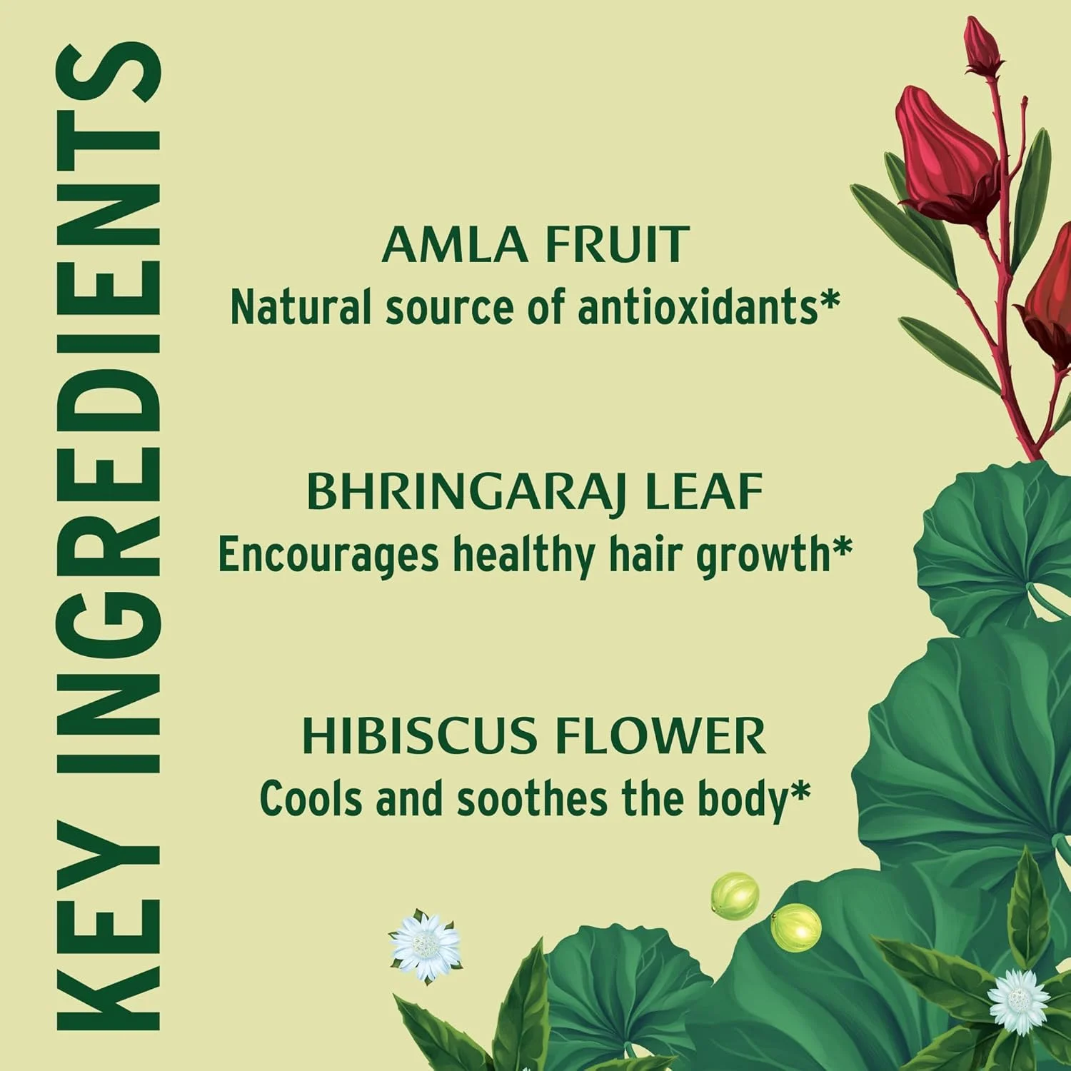 قرص تقویت مو بانیان بوتانیکالز - دارای گواهی USDA ارگانیک، 90 عدد - فرمول گیاهی مغذی برای انواع مو قرص تقویت مو بانیان بوتانیکالز - دارای گواهی USDA ارگانیک، 90 عدد - فرمول گیاهی مغذی برای انواع مو