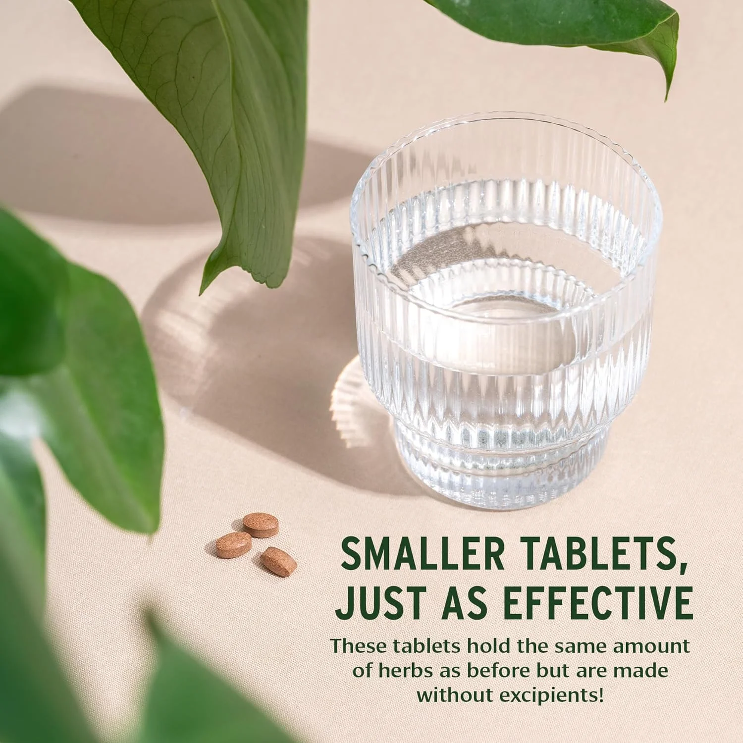 قرص کانچنار گوگولو بانیان بوتانیکالز - USDA ارگانیک - 90 عدد - گیاهان انرژی زا آیورودا برای سلامتی تیروئید و لنفاوی* قرص کانچنار گوگولو بانیان بوتانیکالز - USDA ارگانیک - 90 عدد - گیاهان انرژی زا آیورودا برای سلامتی تیروئید و لنفاوی*