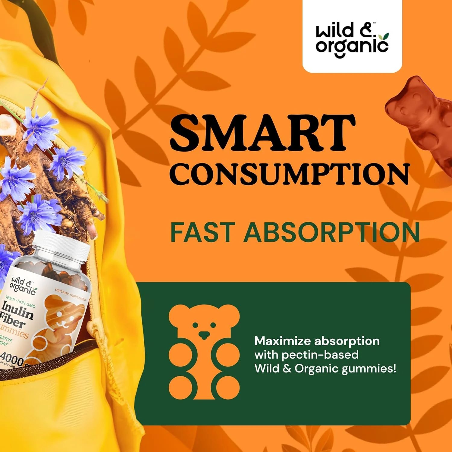 پاستیل فیبر اینولین ارگانیک و وحشی - پاستیل مکمل فیبر اینولین برای سلامت دستگاه گوارش - پاستیل فیبر پری بیوتیک برای بزرگسالان از ریشه کاسنی ارگانیک - وگان، 4000 میلی گرم، 60 عدد