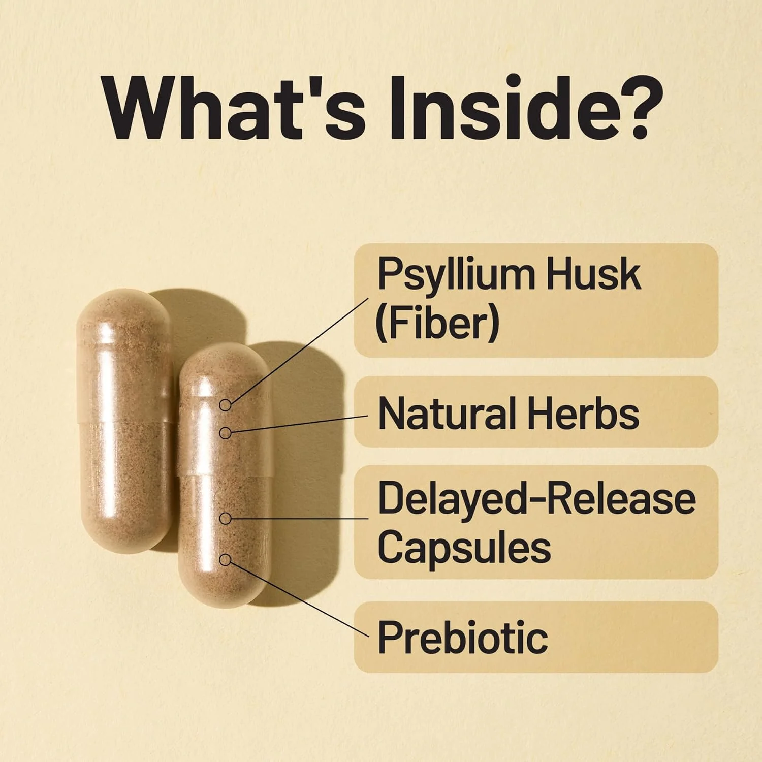 مکمل پاکسازی روده NatureWise Total Colon Care حاوی فیبر، ملین های گیاهی، پری بیوتیک ها و آنزیم های گوارشی برای دفع سالم، هضم ایمن، سم زدایی و سلامت روده [تامین یک ماهه - 60 عدد]