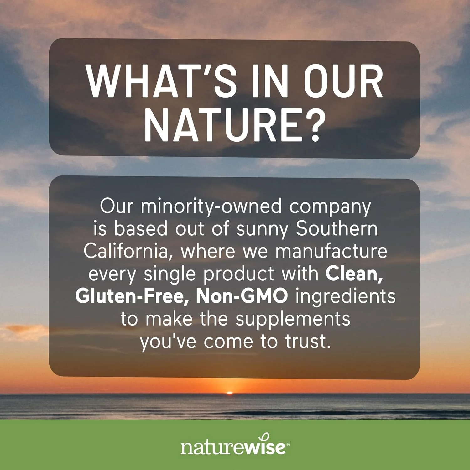 مکمل پاکسازی روده NatureWise Total Colon Care حاوی فیبر، ملین های گیاهی، پری بیوتیک ها و آنزیم های گوارشی برای دفع سالم، هضم ایمن، سم زدایی و سلامت روده [تامین یک ماهه - 60 عدد]